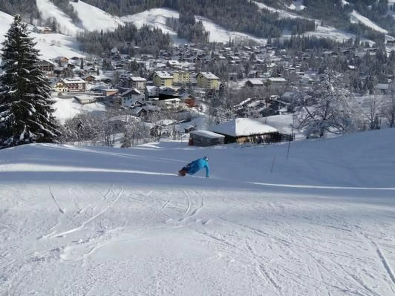 Kolibri Hochparterre-Image-tags.info