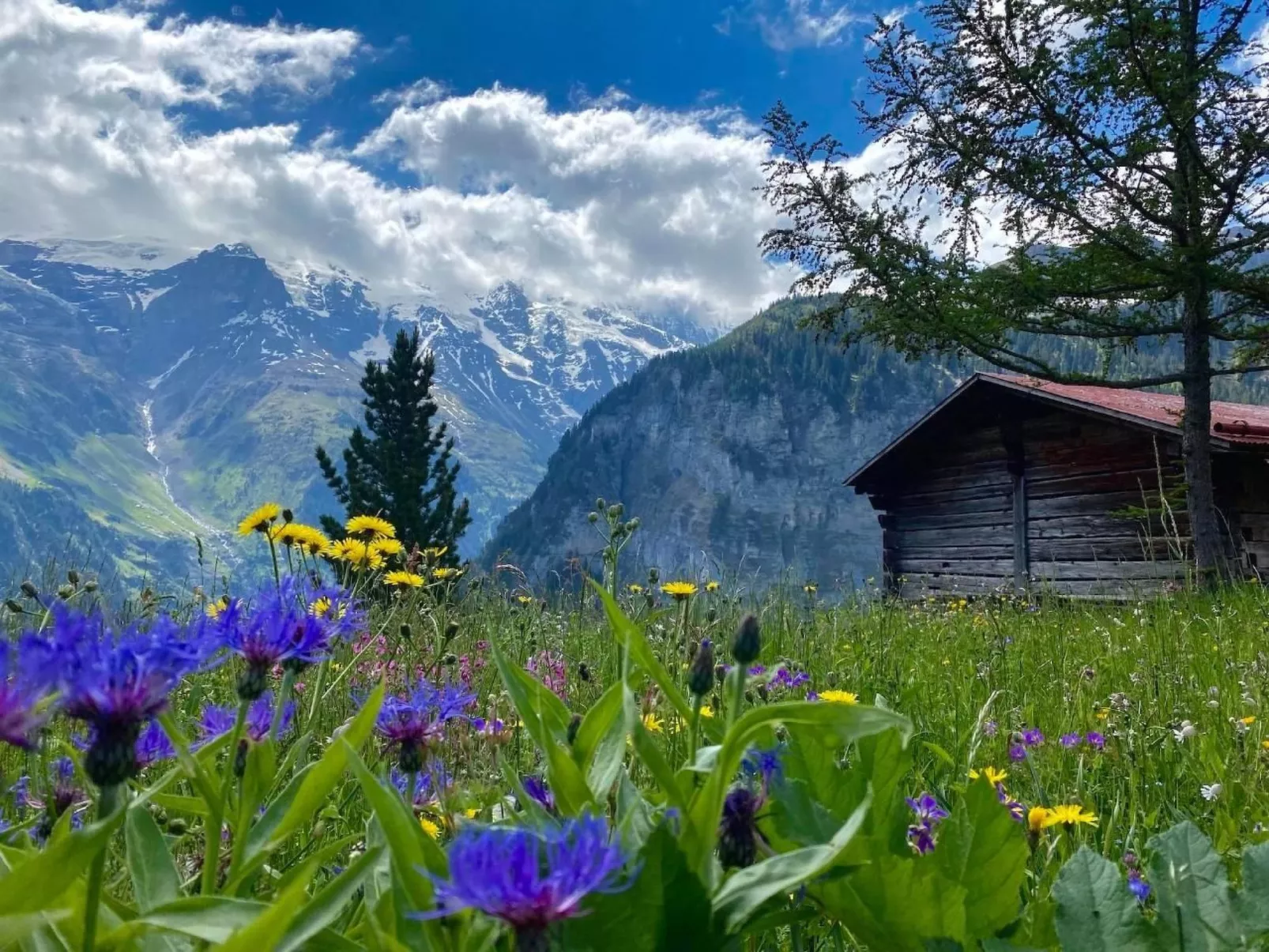 Ferien-Apartment mit Lounge