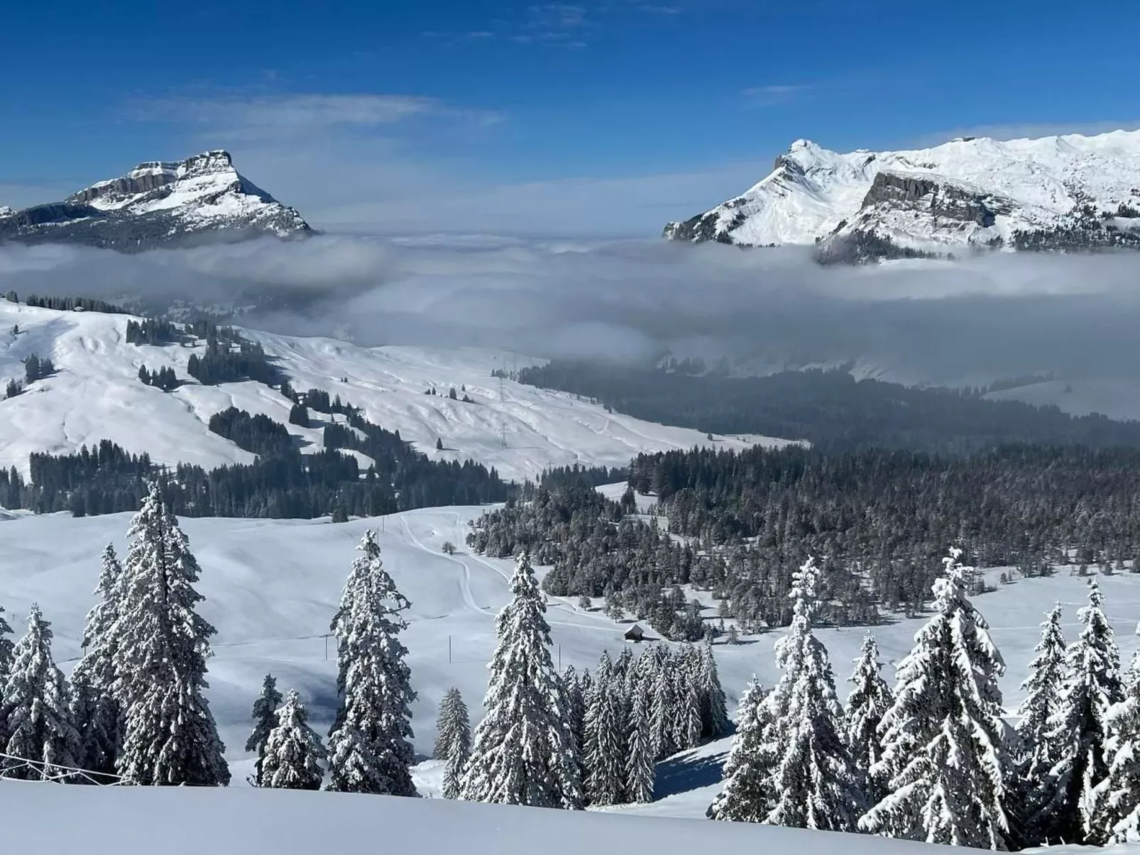 Berg-Ferienwohnung  im Chalet  Zirbeli