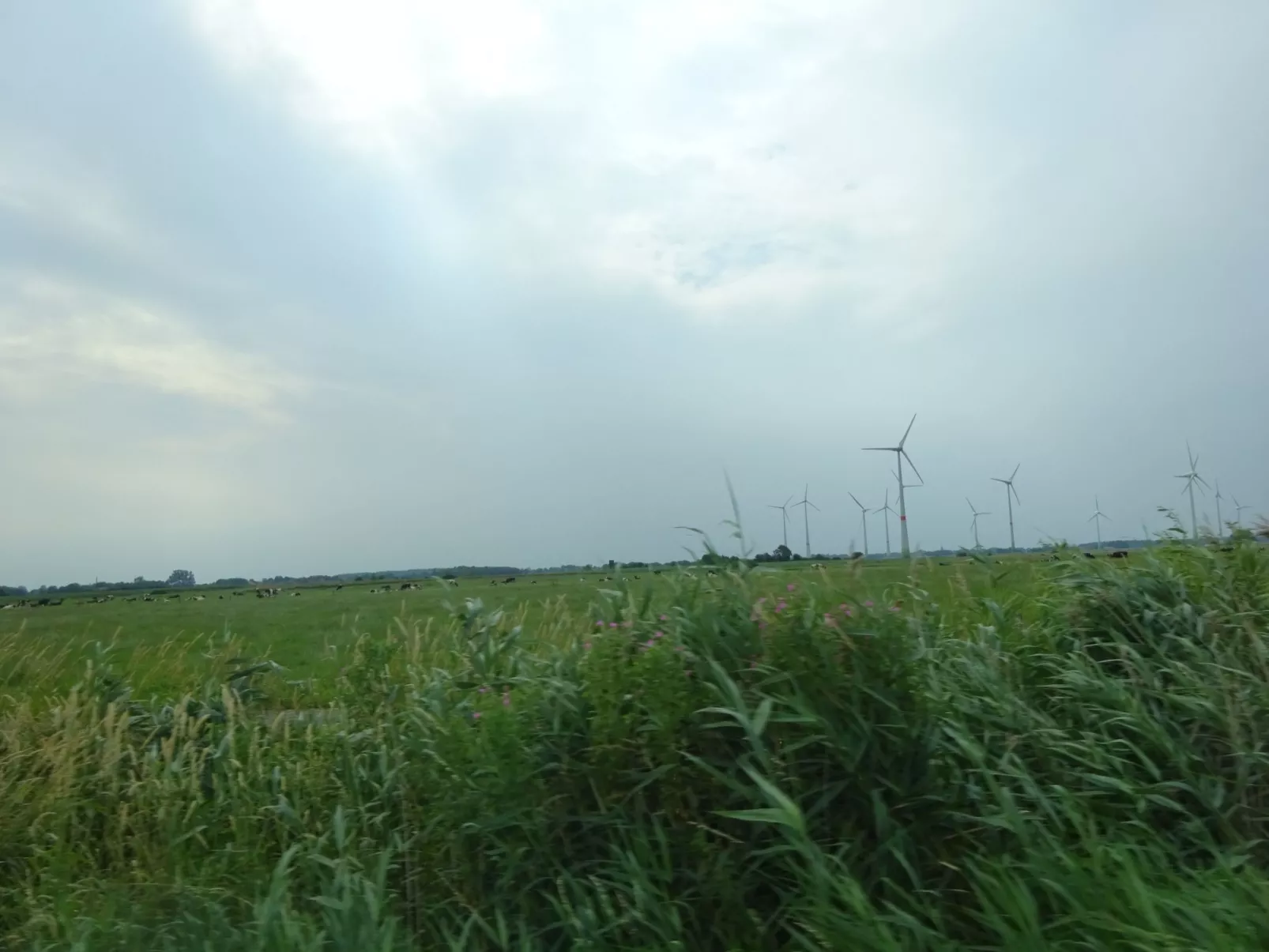Komfortable Doppelhaushälfte und großem Garten