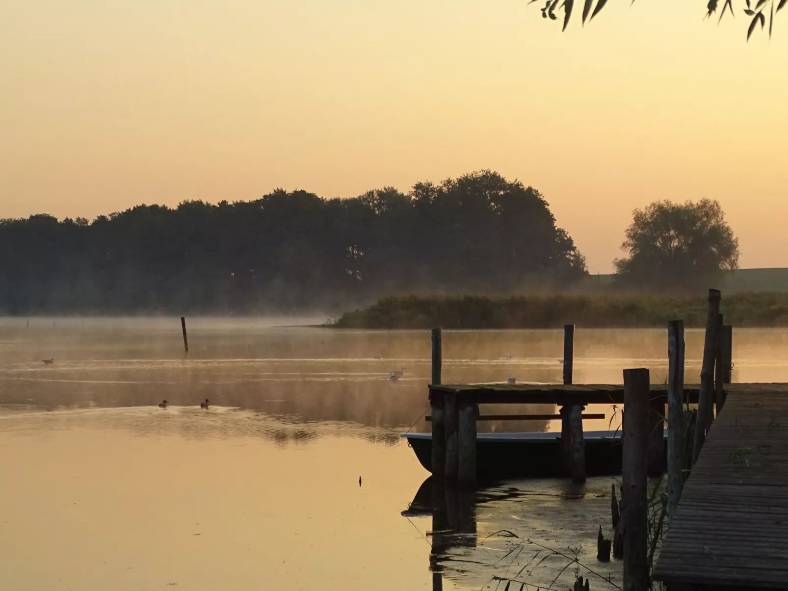 Gemütliches Dachgeschoss-Apartement mit Seeblick und großem Garten am Wasser