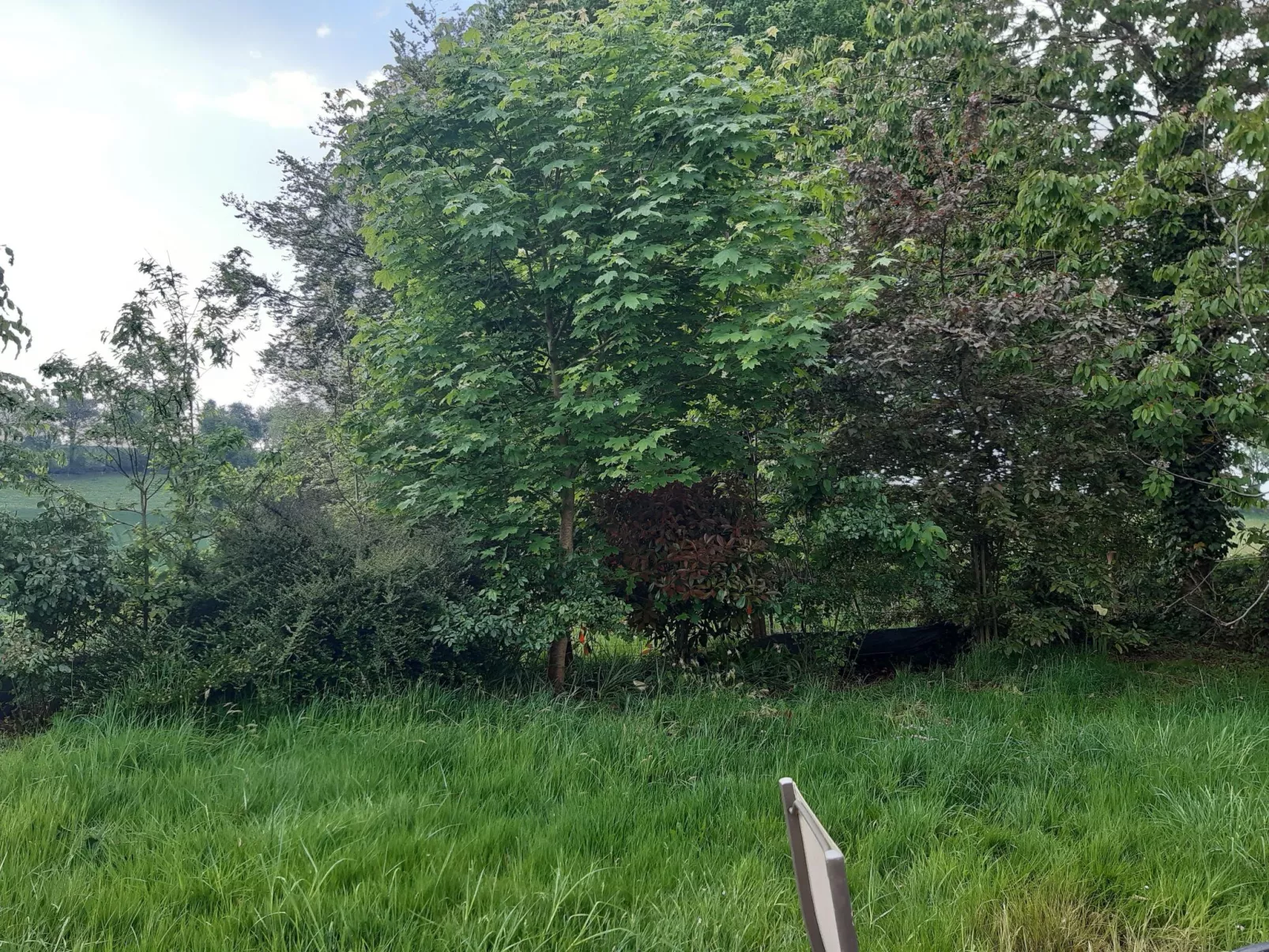 Finca "Motje" mit Aussicht-Draußen