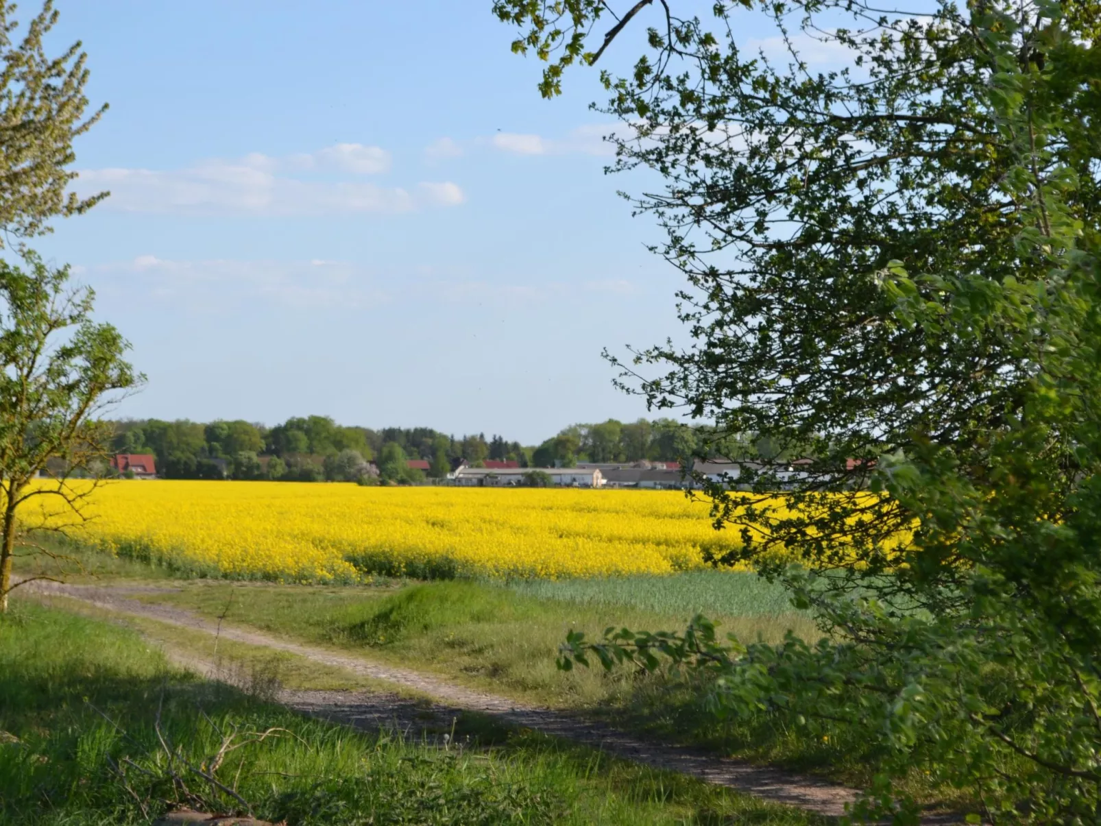 Großzügige Ferienwohnung mit Terrasse-Image-tags.info