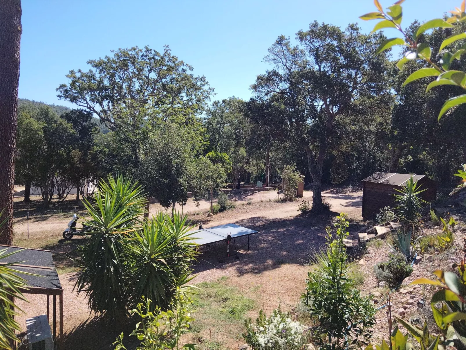 Ferienwohnungen Albareddu Punta Croce