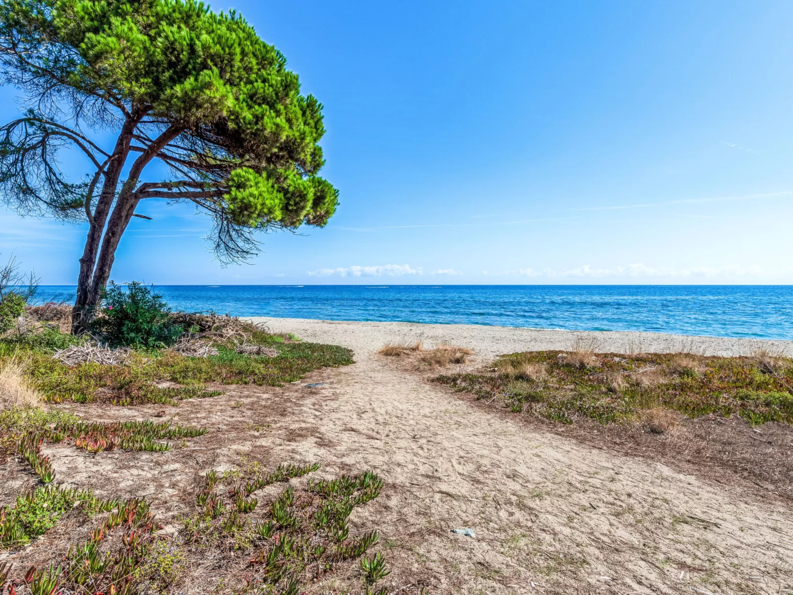 Weingut Punta della Guardia Panorama von Macchia und Meer