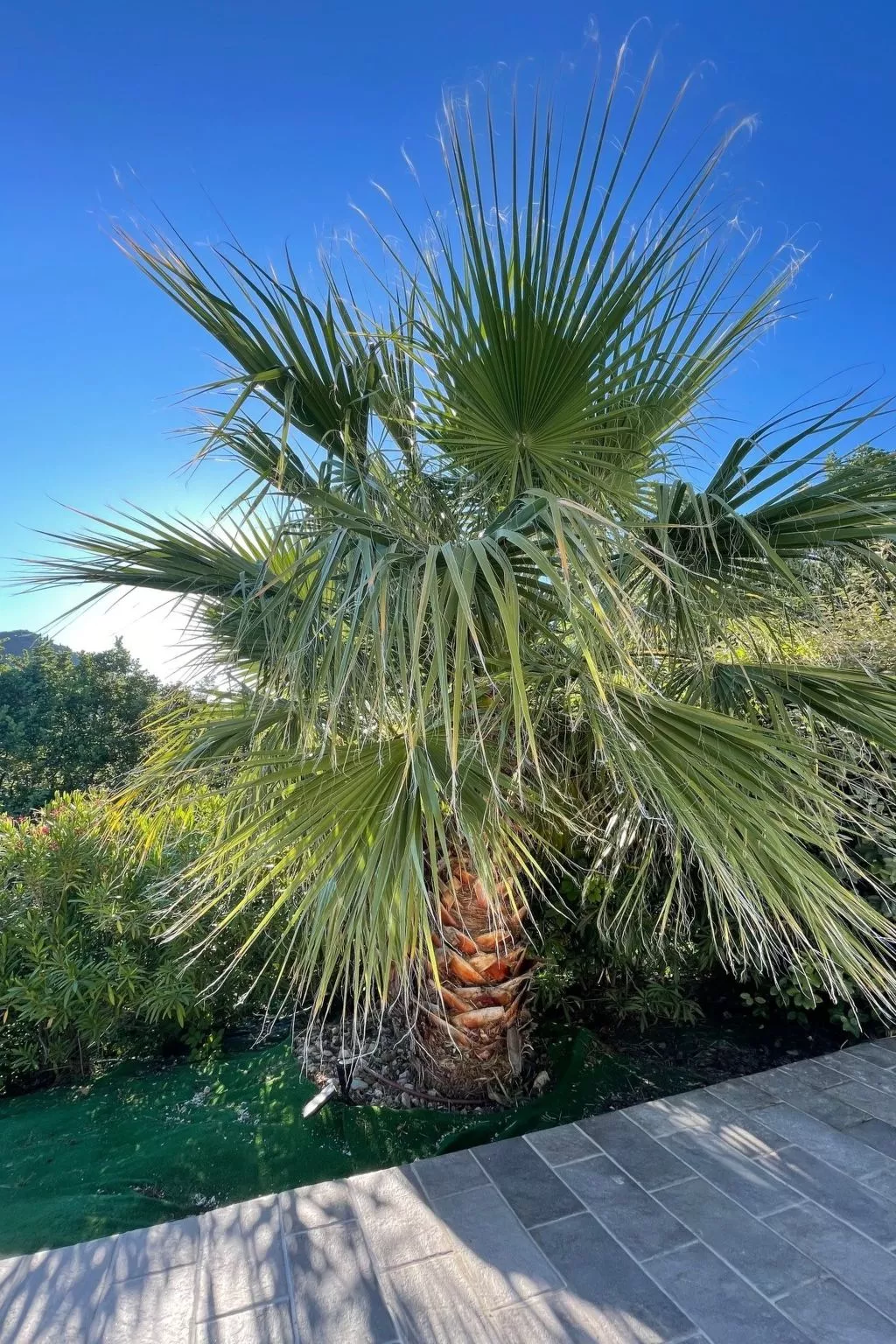 Villa St. Julian-Dehors