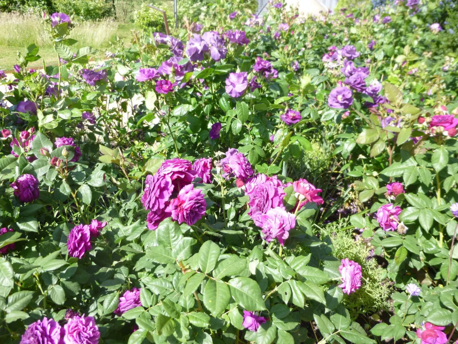 Fachwerkhaus "gitealienor perigord"