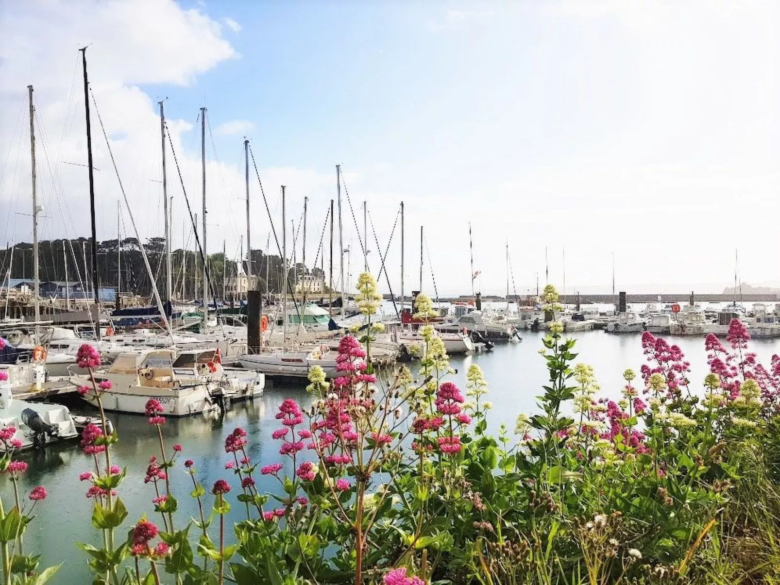 Charmantes großes Cottage zwischen Land und Meer-Draußen
