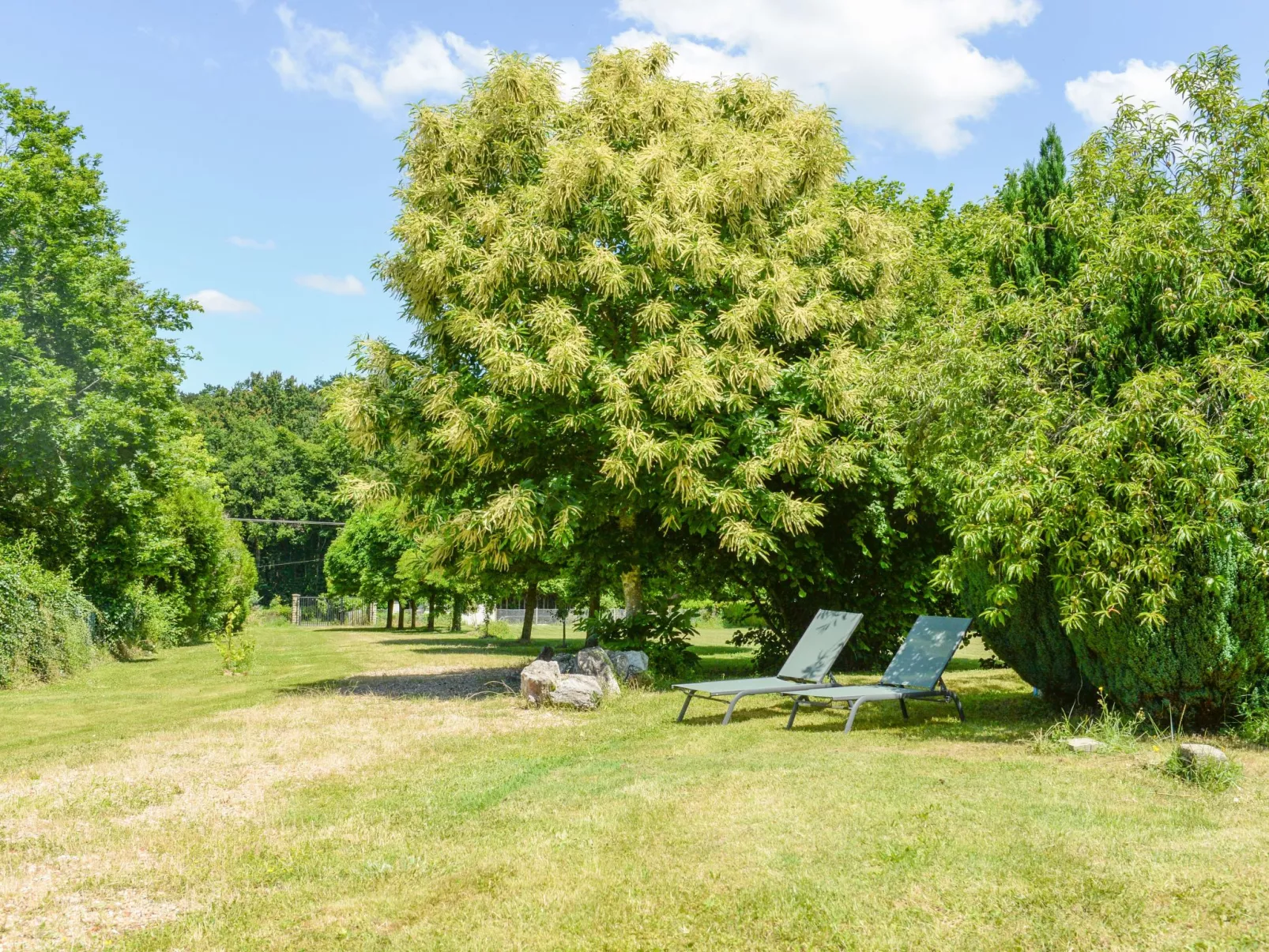 Der Ruf der freien Zone-Draußen