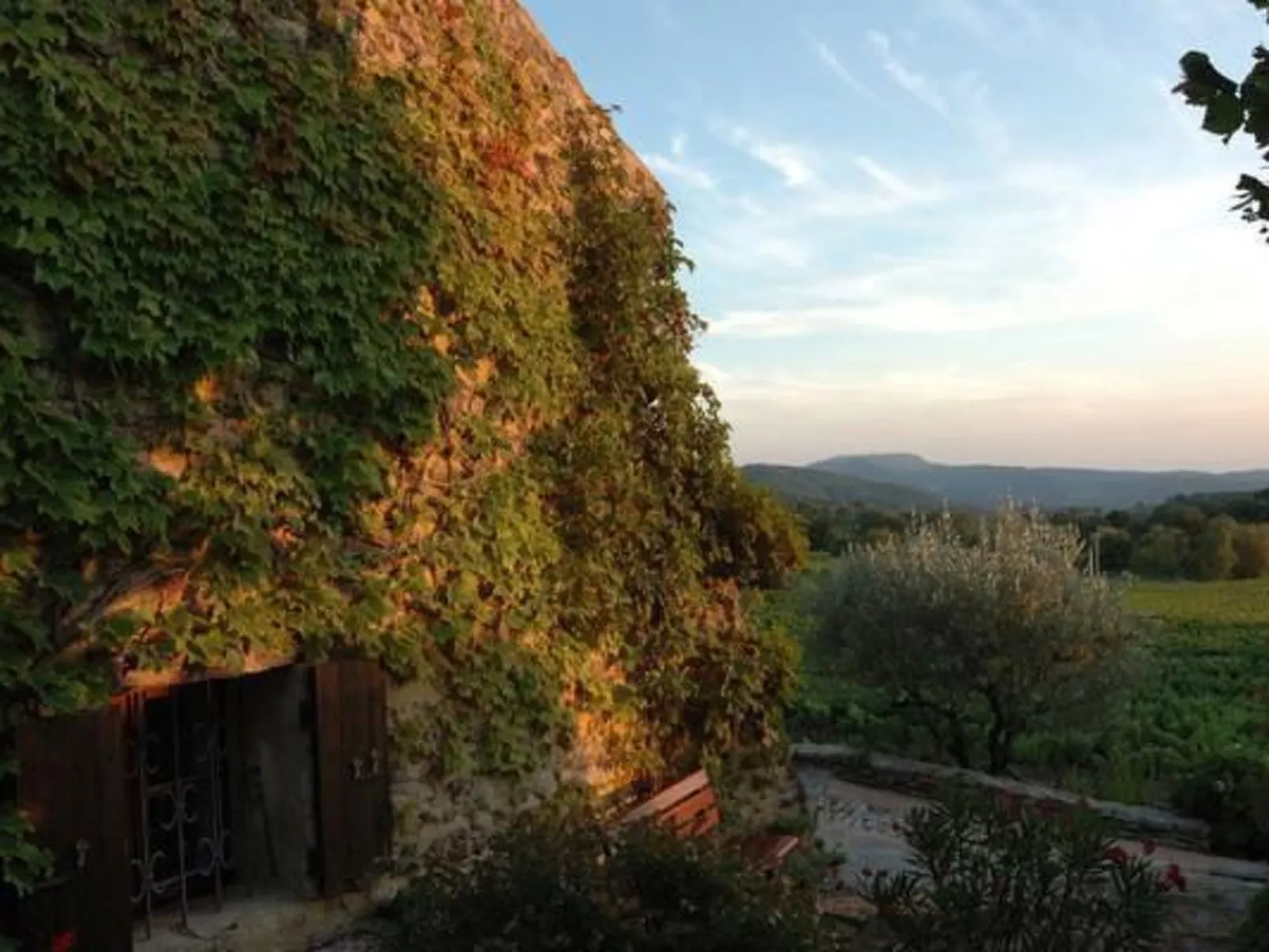 "Haus der Olivenbäume"