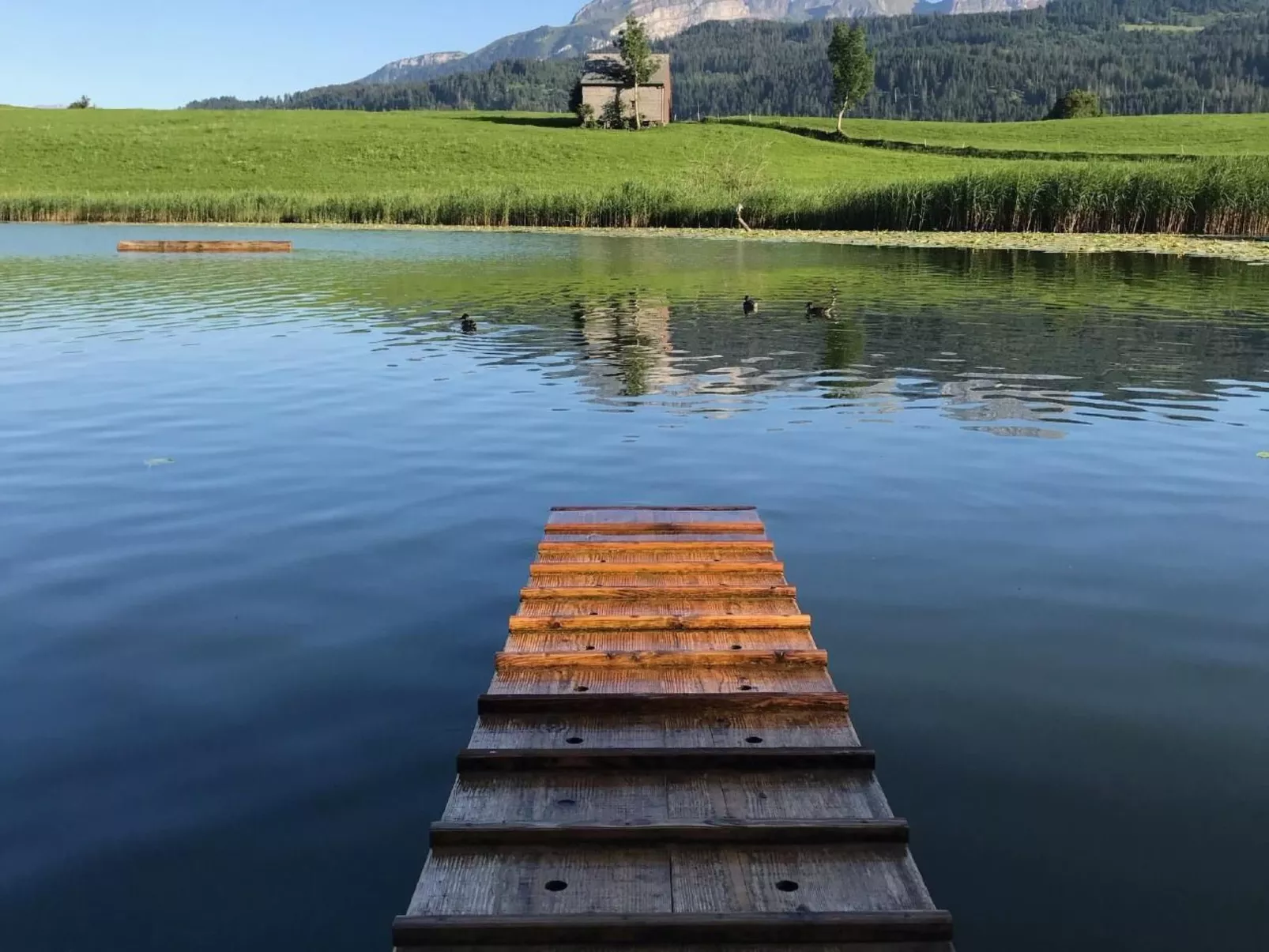 Altes Schulhaus-Outside