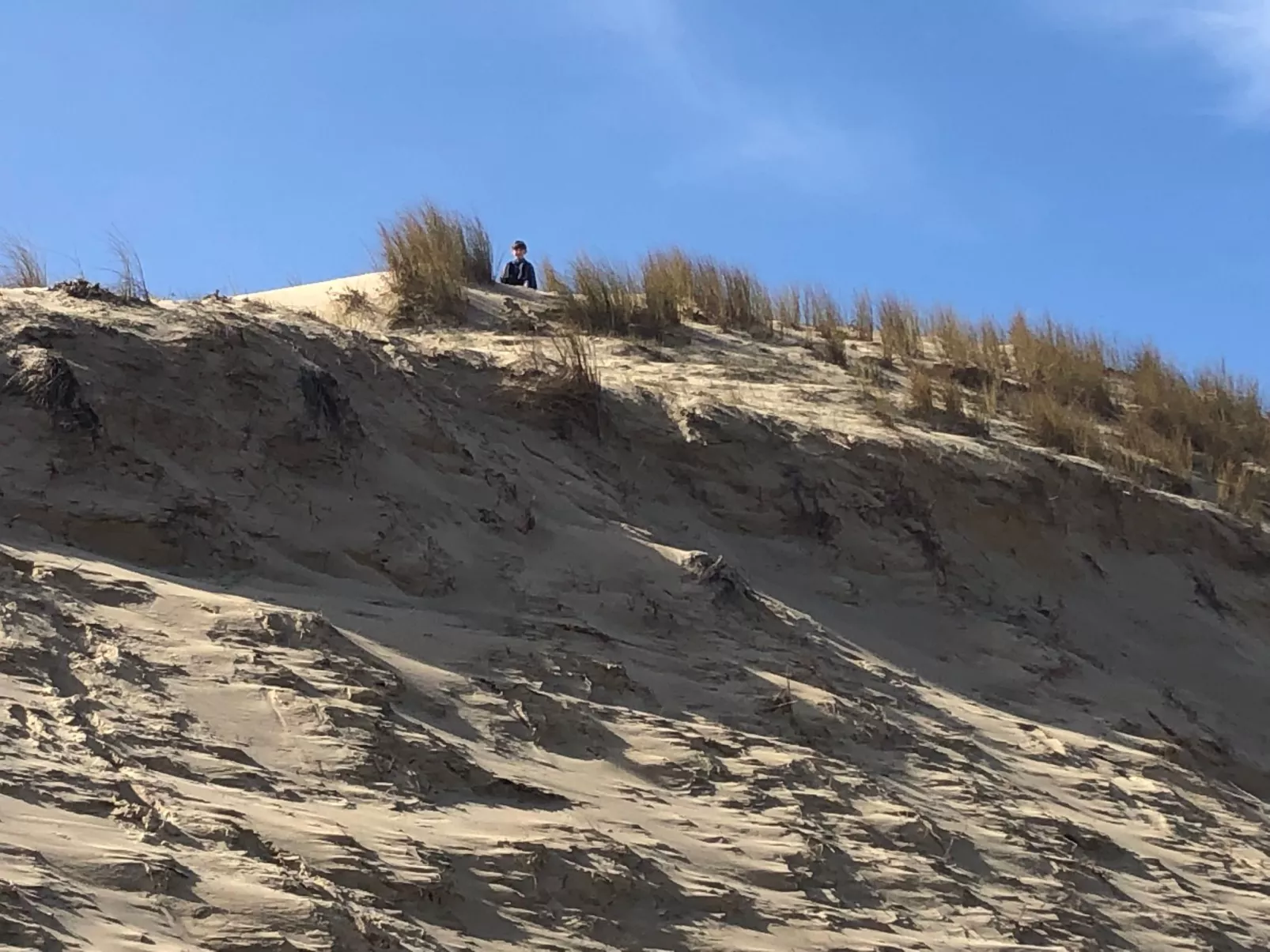 Schönes Appartment in ruhiger Lage in einer baumbestandenen Residenz mit beheiz-Image-tags.info