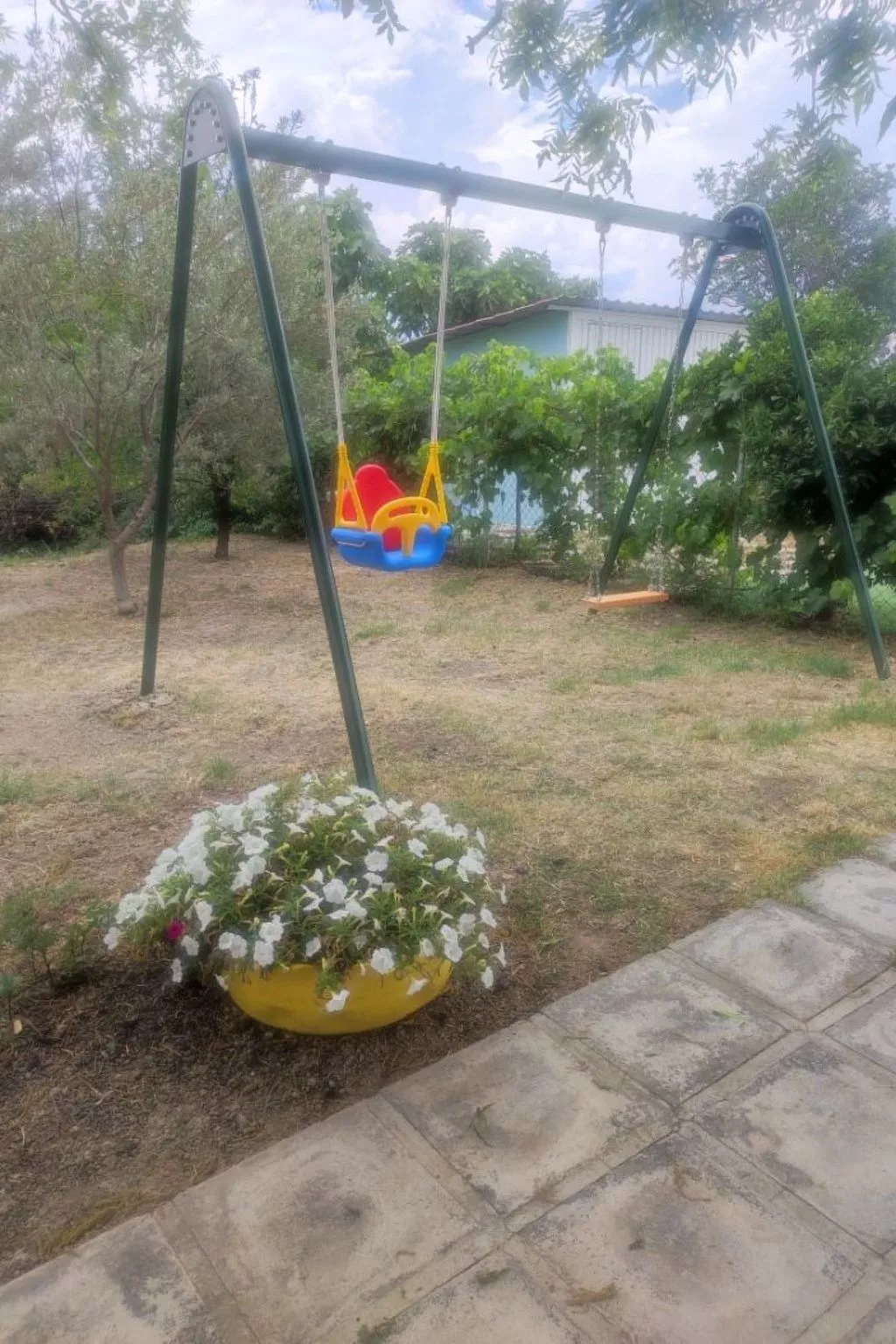 Neben Orangenbaum-Obstgarten