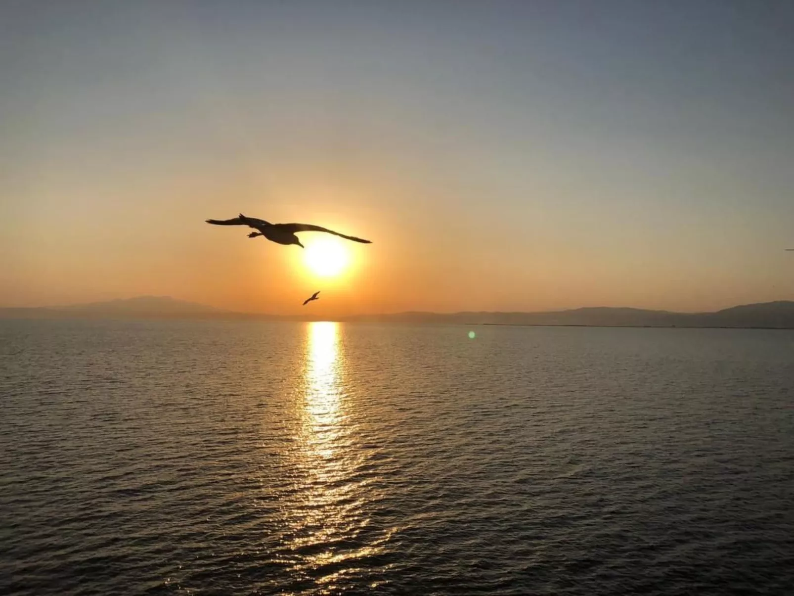 Olivia Sea Cottage-Dehors