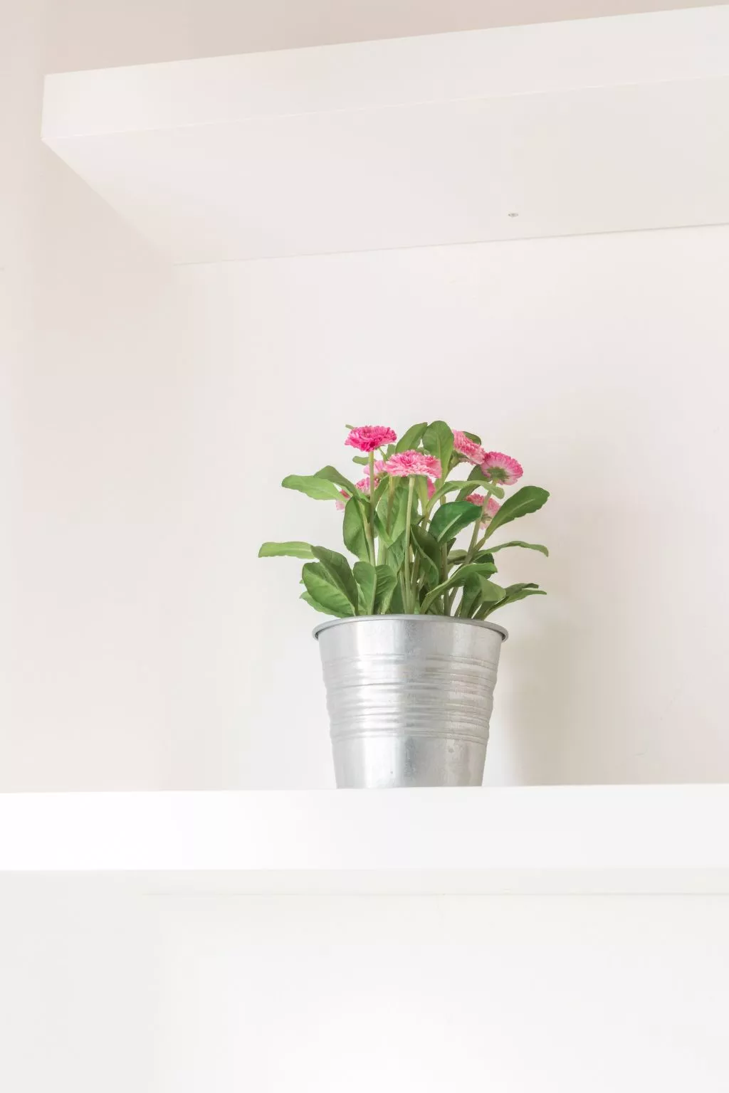 Wohnung 'Cappuccino 36' mit Terrasse-Inside