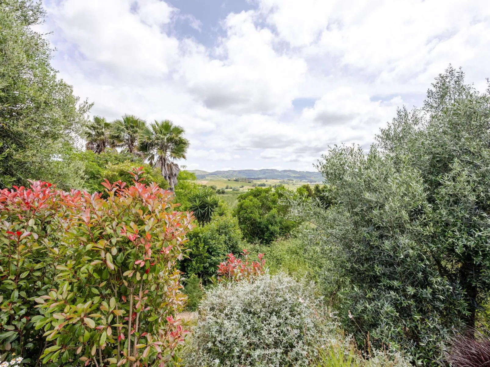 "TwinVilla Silberküste"-Dehors