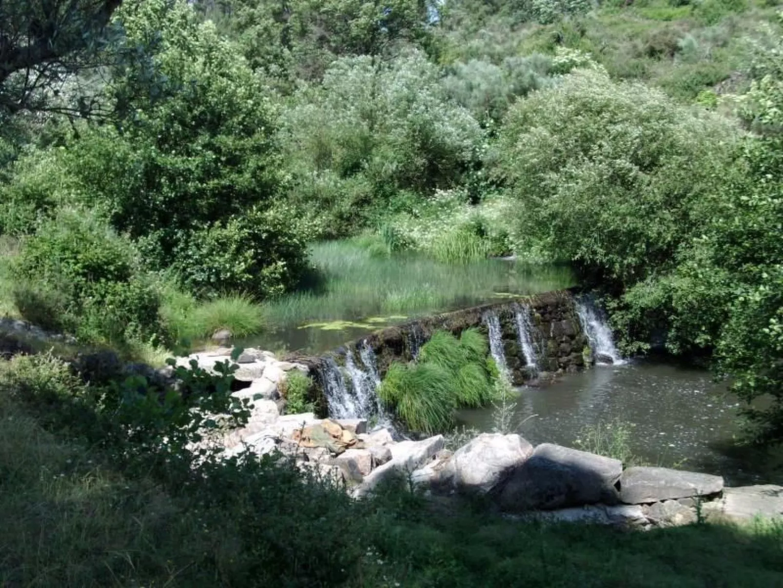 Ferien auf dem Bauernhof mit Weinberg-Outside