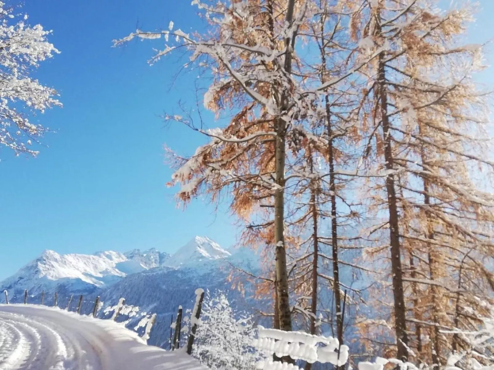 Chalet 3 Zi. in ruhiger Lage, in der Nähe von Verbier-Dehors