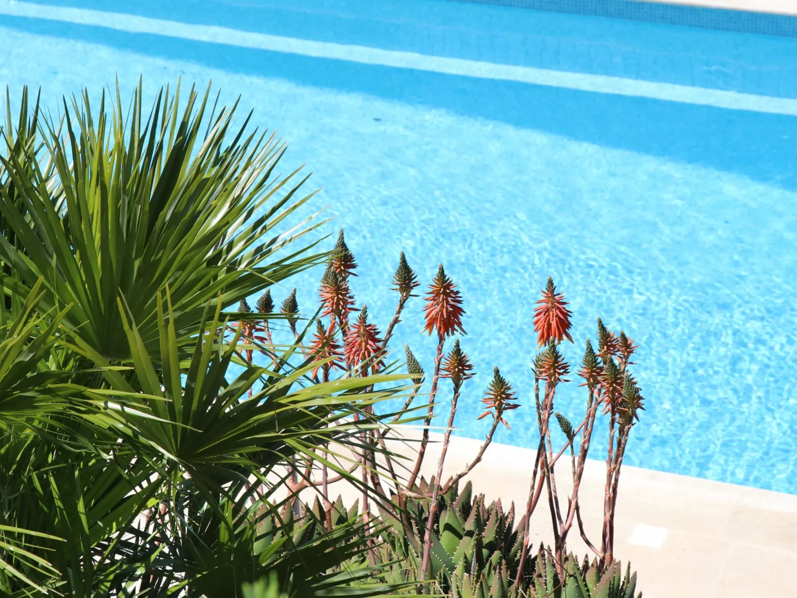 "Mesomax" mit Meerblick-Dehors