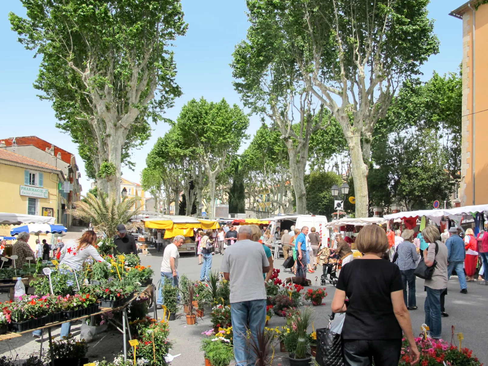 Freistehendes Haus mit großer Terrasse und Panoramablick auf die Landschaft-Umgebung