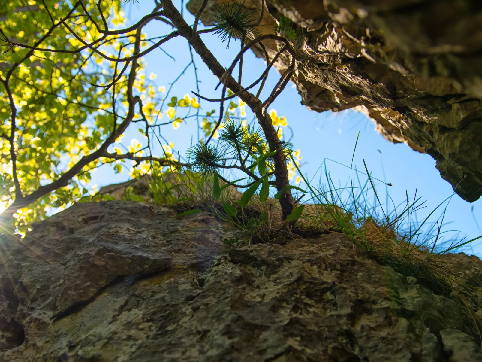 Wohlfühlort-Outside