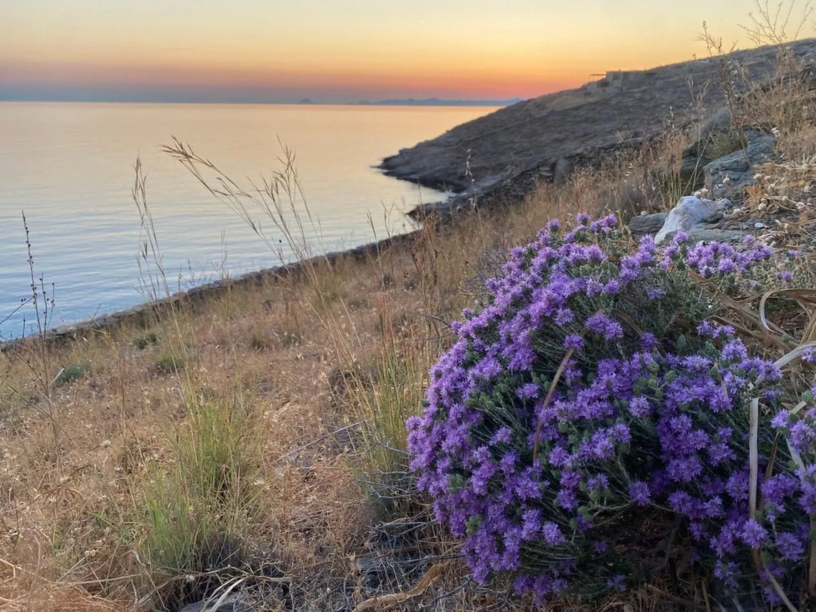 Strandhaus mit atemberaubender Aussicht-Dehors