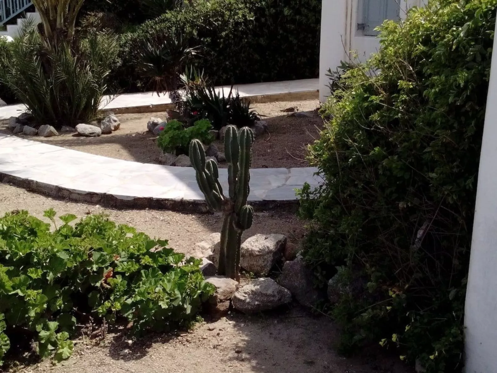 "Mykonian Aroma" mit Pool-Dehors