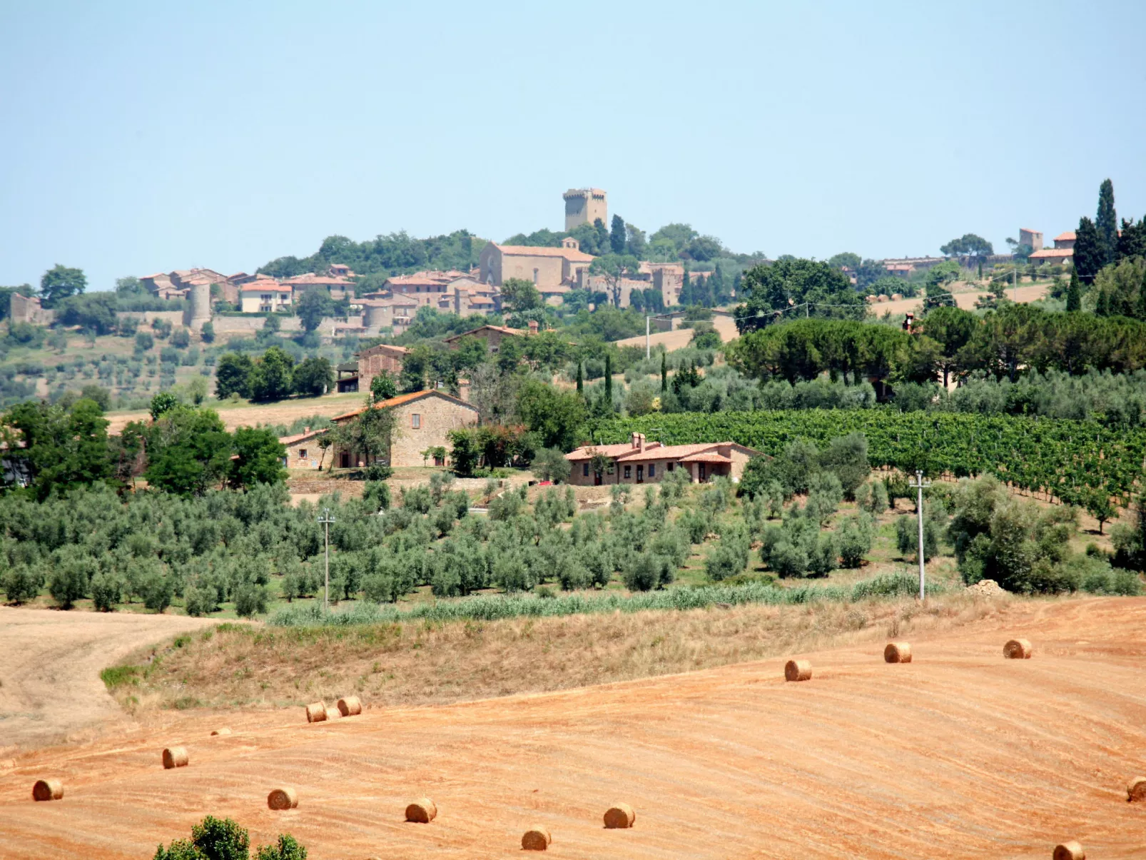 Tenuta "Podere Osteria"-Environnement