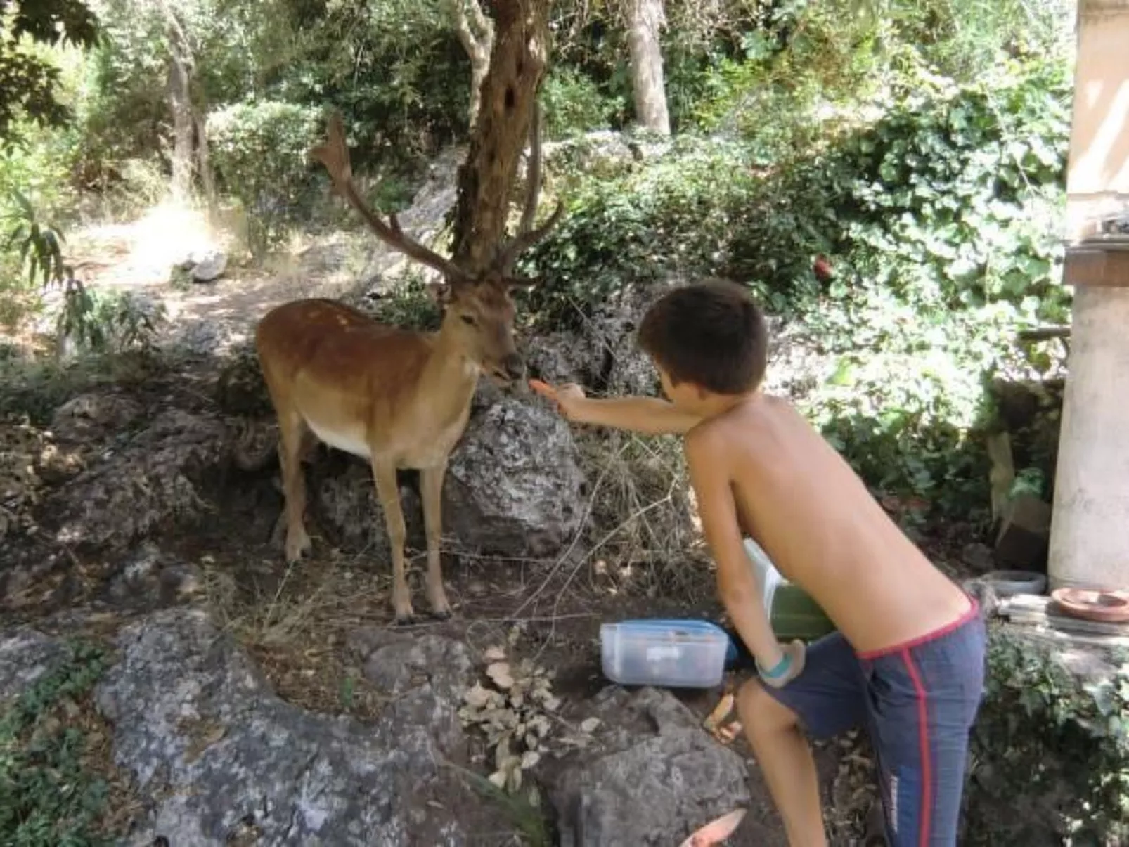 'Villa Paradisino-Outside