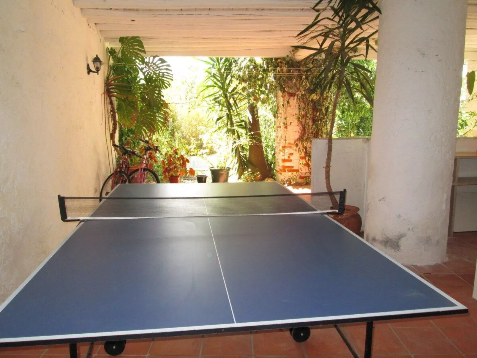 Bauernhaus aus dem XIX Jahrhundert-Dedans