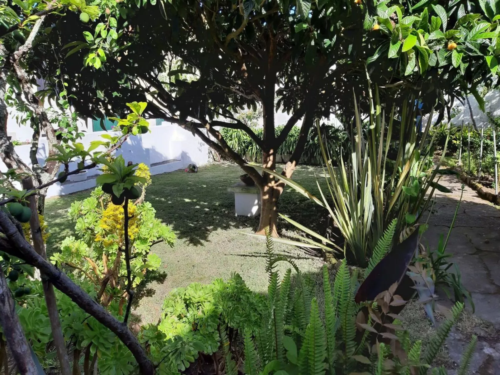 Historisches Haus in der Nähe des historischen Dorfes von Óbidos-Dehors