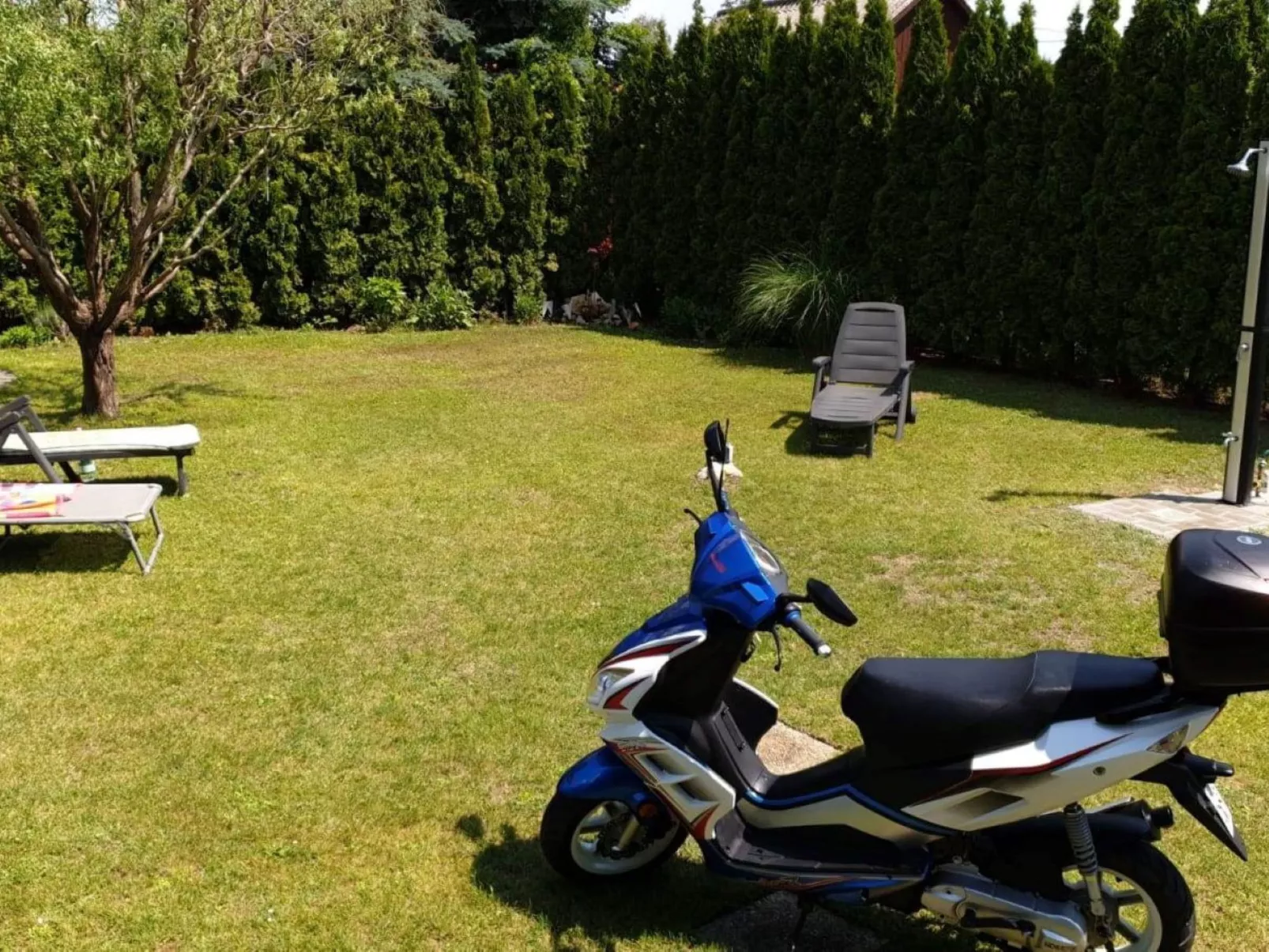 Gitta Hasz-Image-tags.info