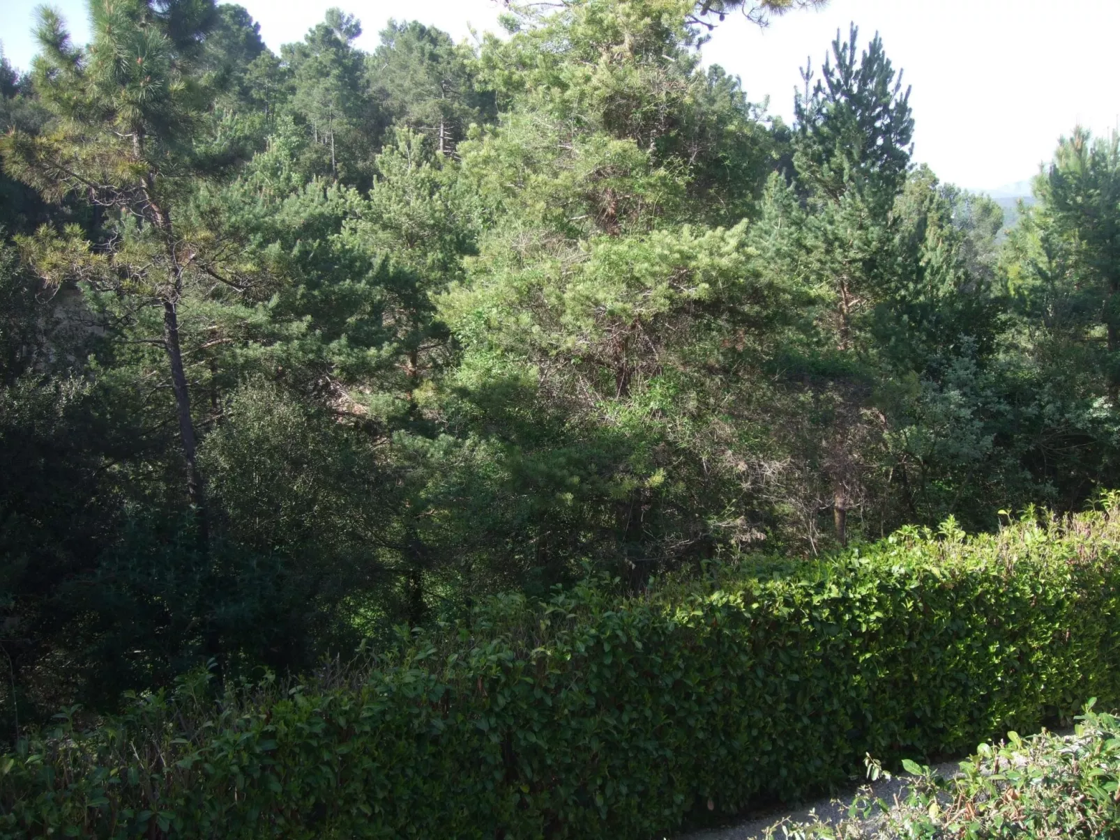 Klimatisierte Wohnung mit Garten-Draußen