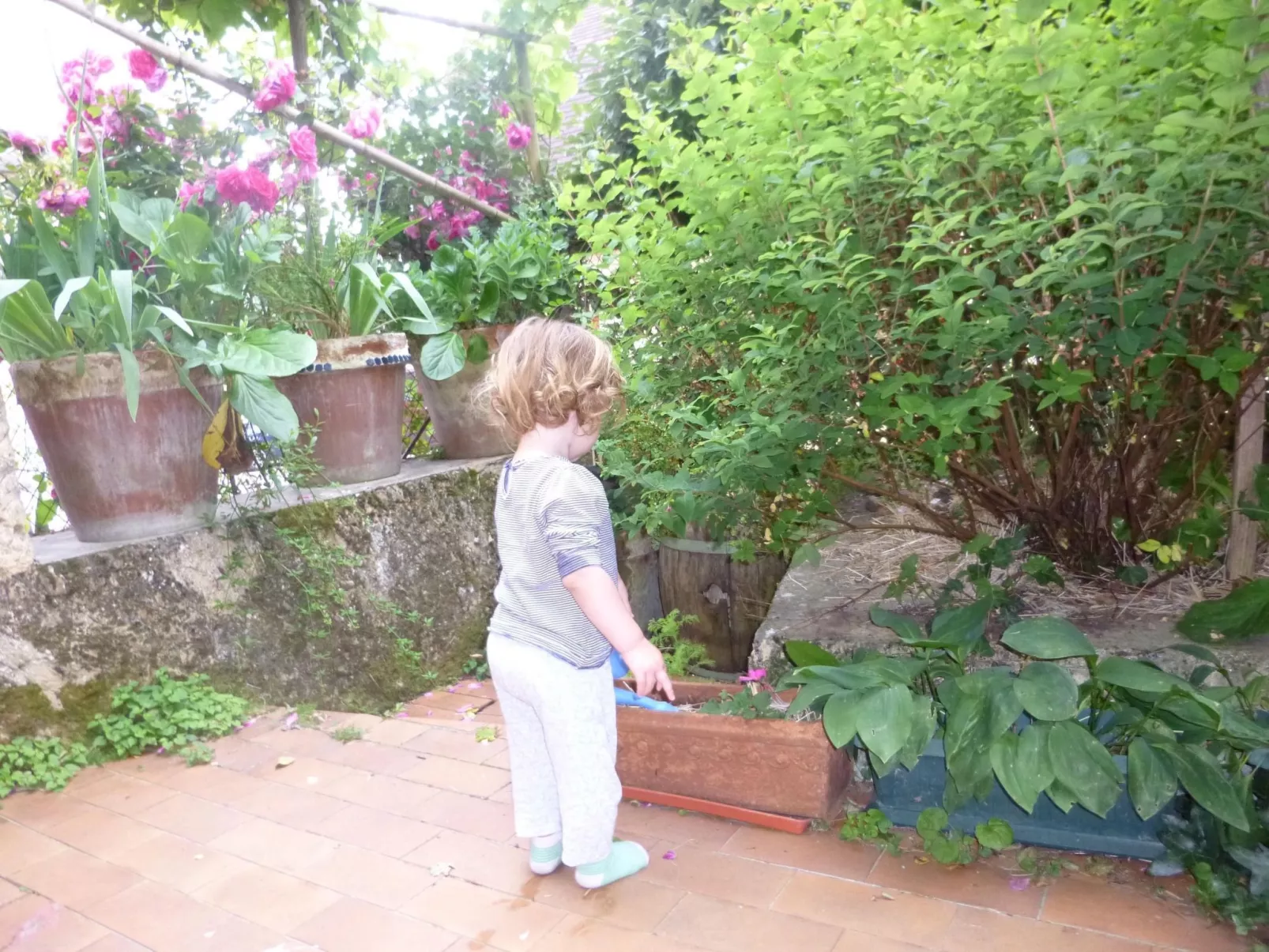 Haus freistehend Sonne Bett 160cm Patio billig