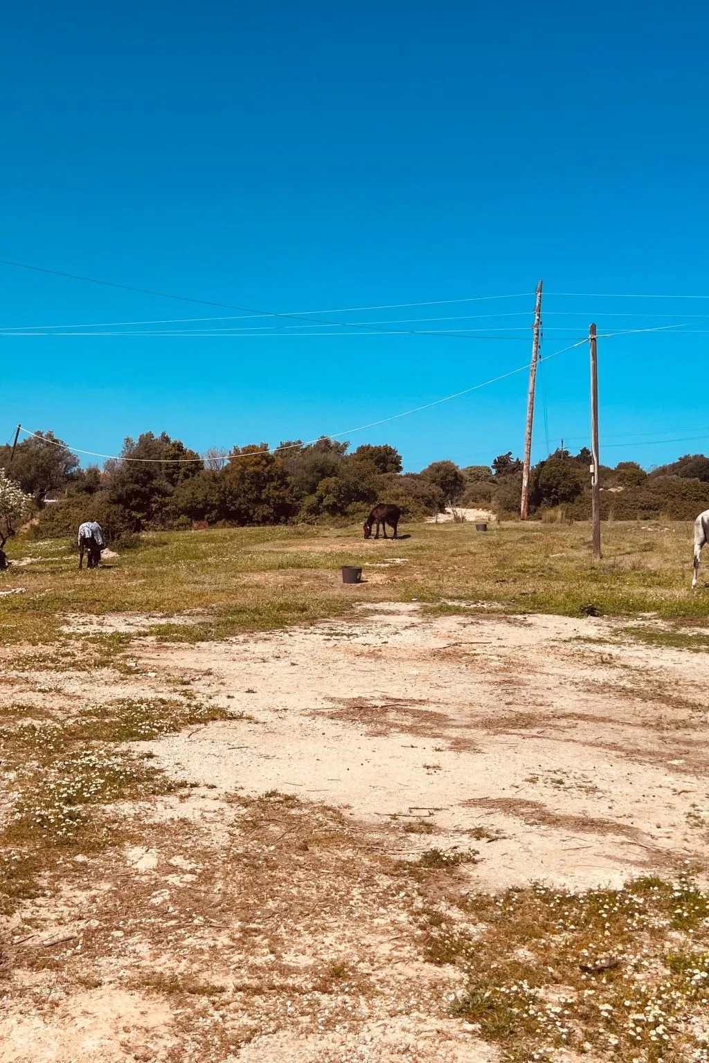 "Naya" mit eigenem Pool-Dehors