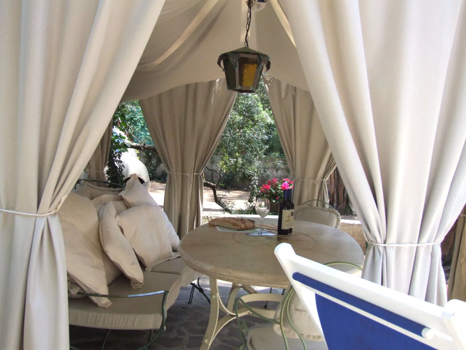 Orchidea von Holiday World