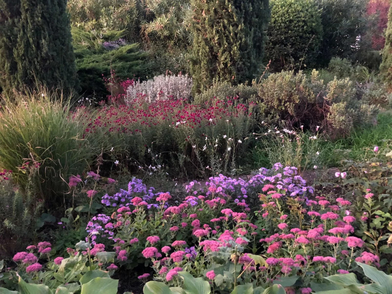 Podere Campolungo - Lo Studio-Outside