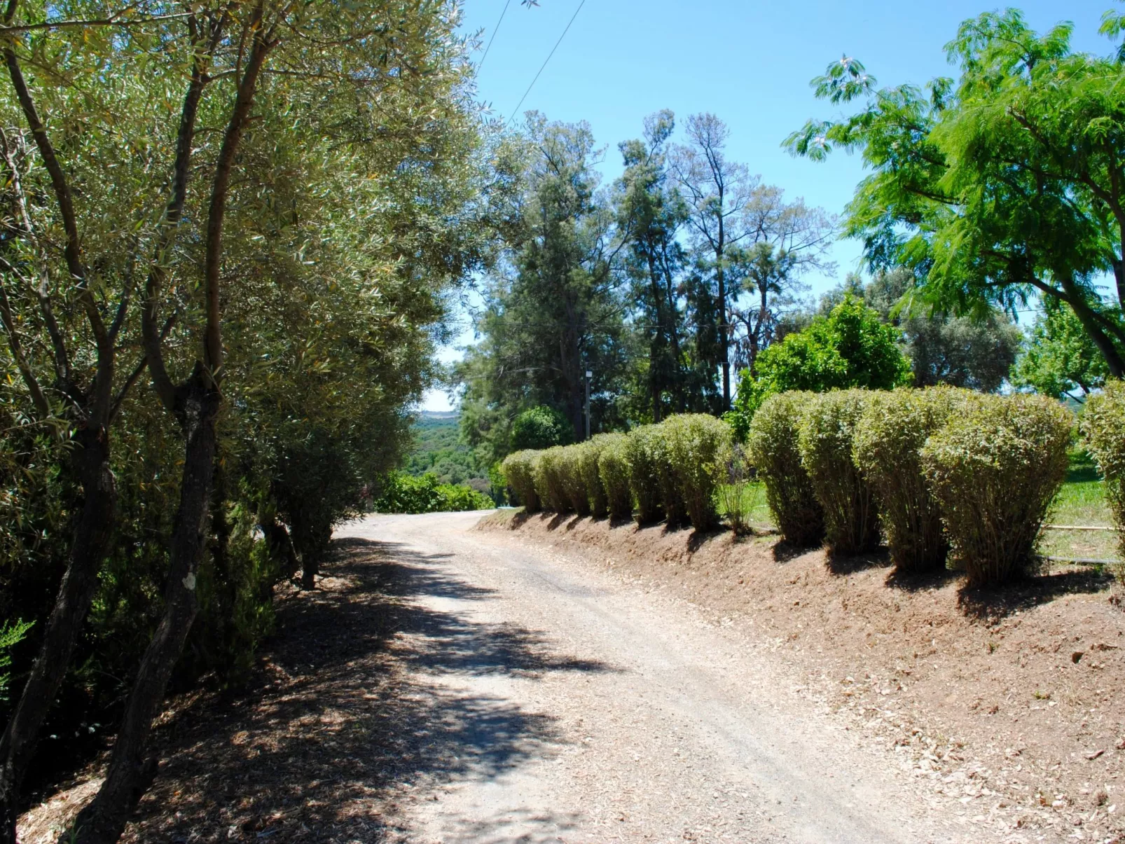 Villa mit Meerblick U Castagnu in geschützter Natur