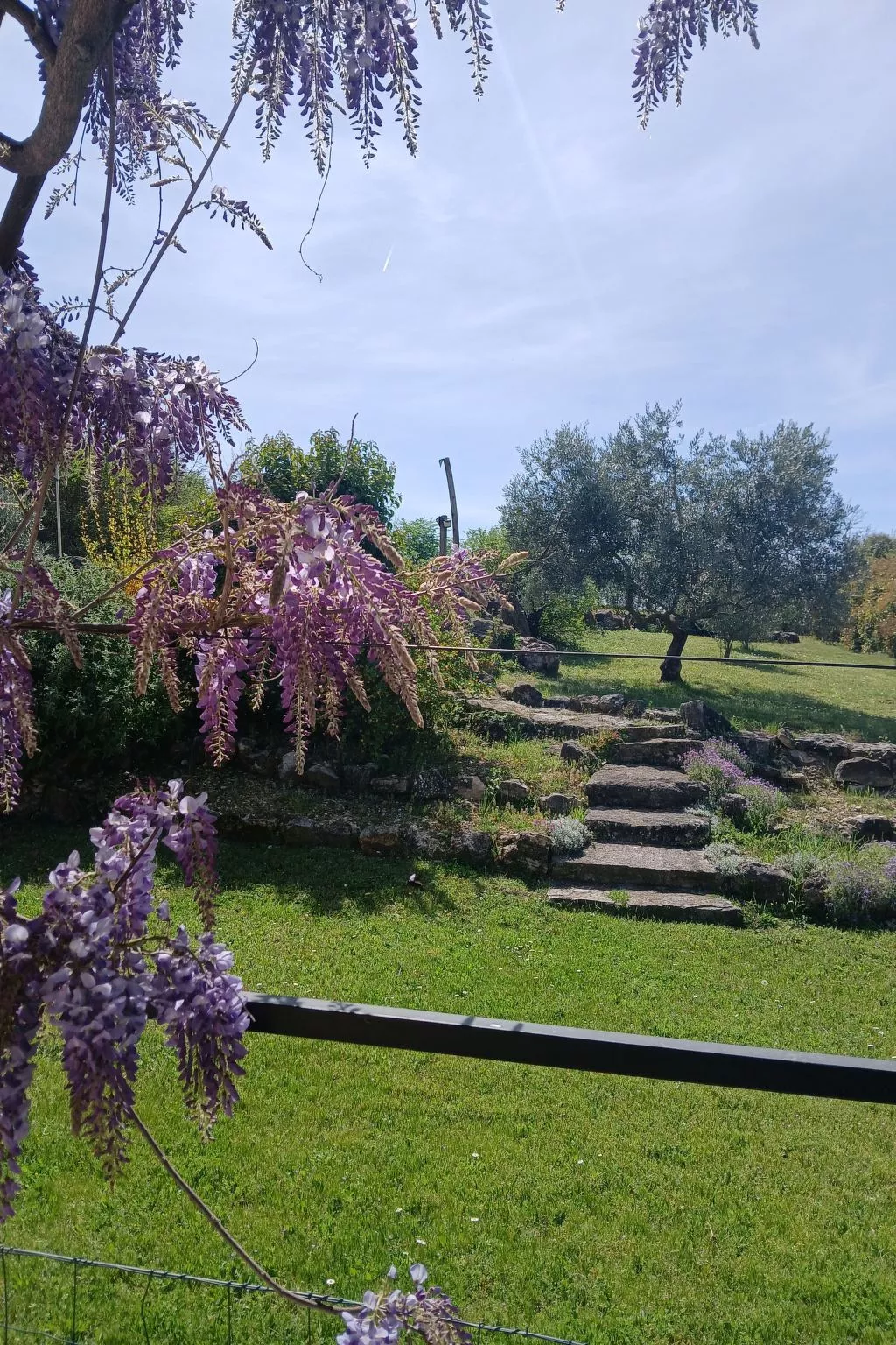 Provenzalisches Ferienhaus mit Charme auf dem Land mit Pool