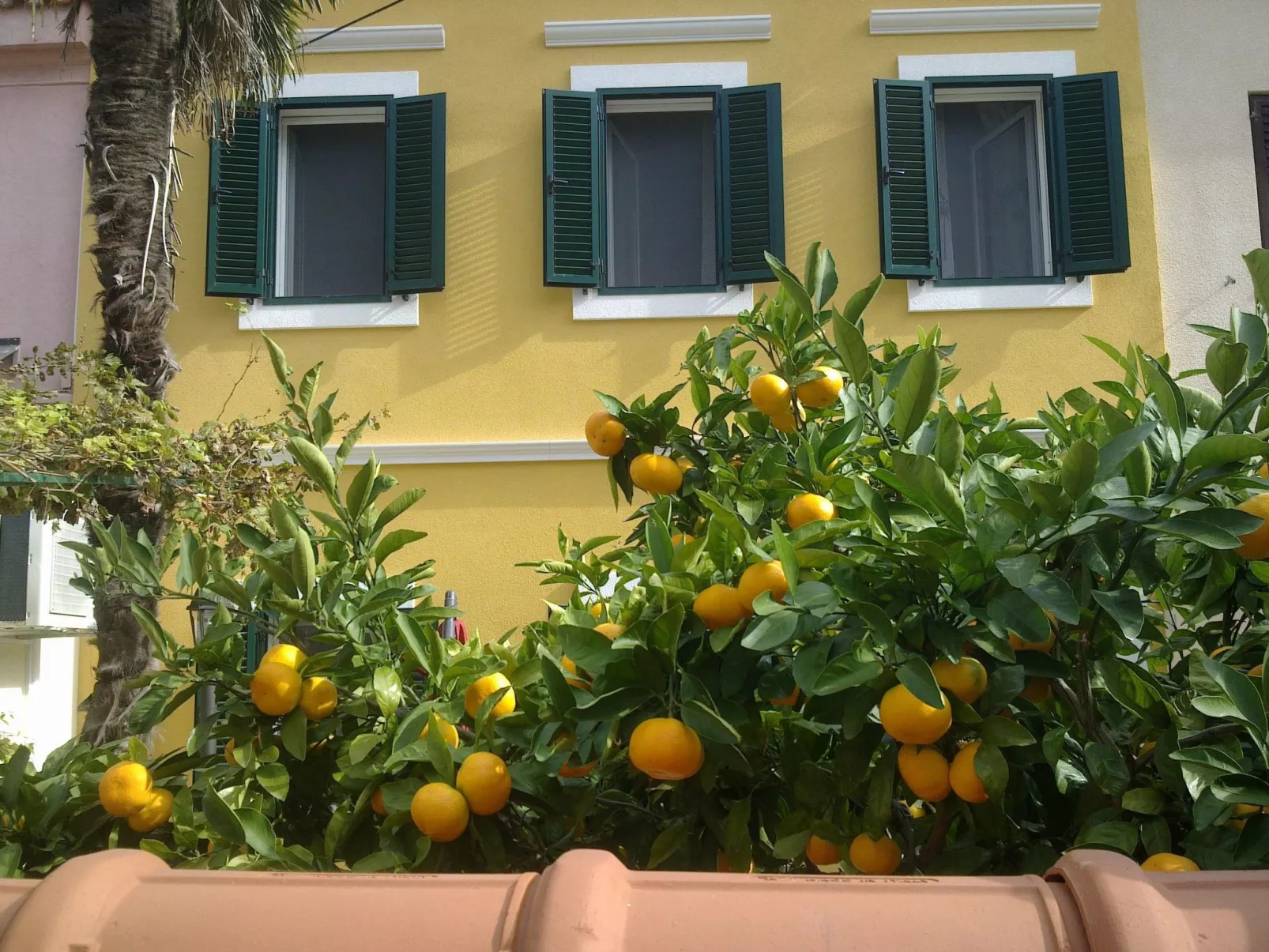 „Kleine Villa Tony“-Draußen