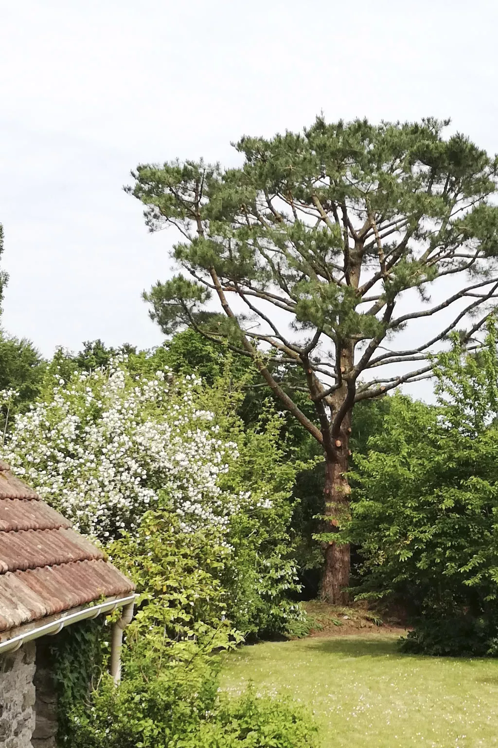 Haus auf der Halbinsel Plougastel-Dehors