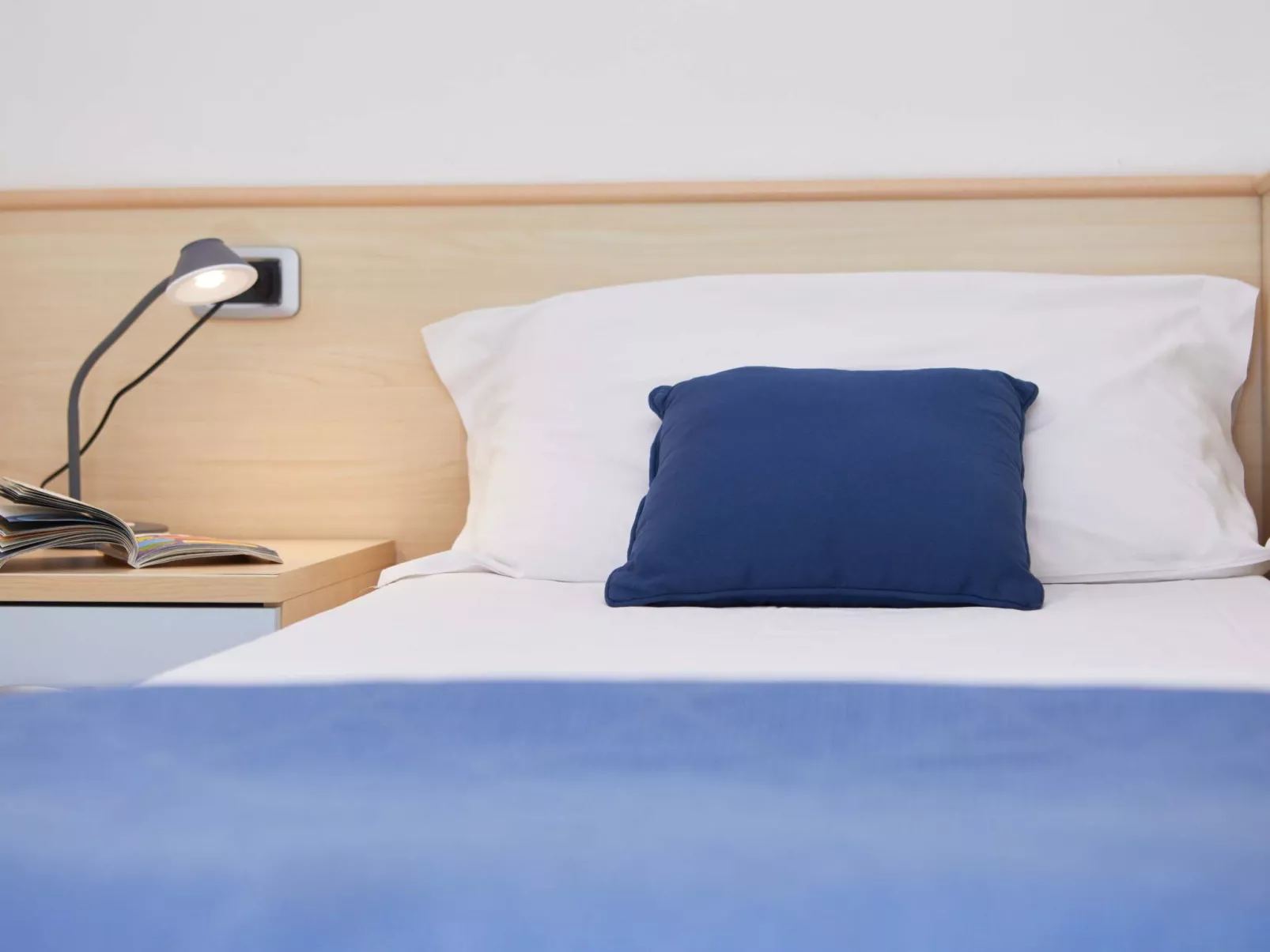 Luxus-Apartment mit Balkonen BV3