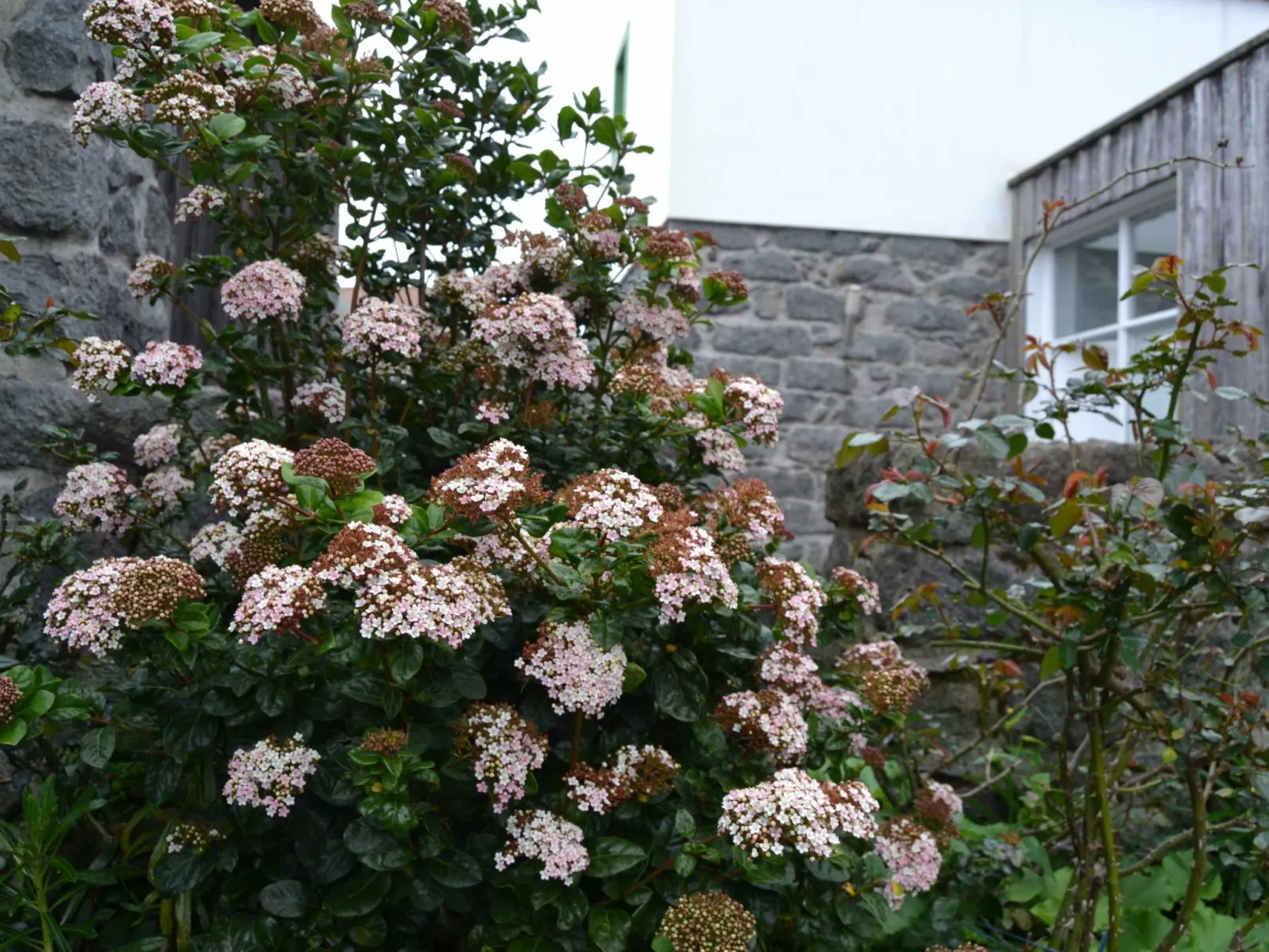 Tradicampo-Ferienhaus A Arribana-Outside