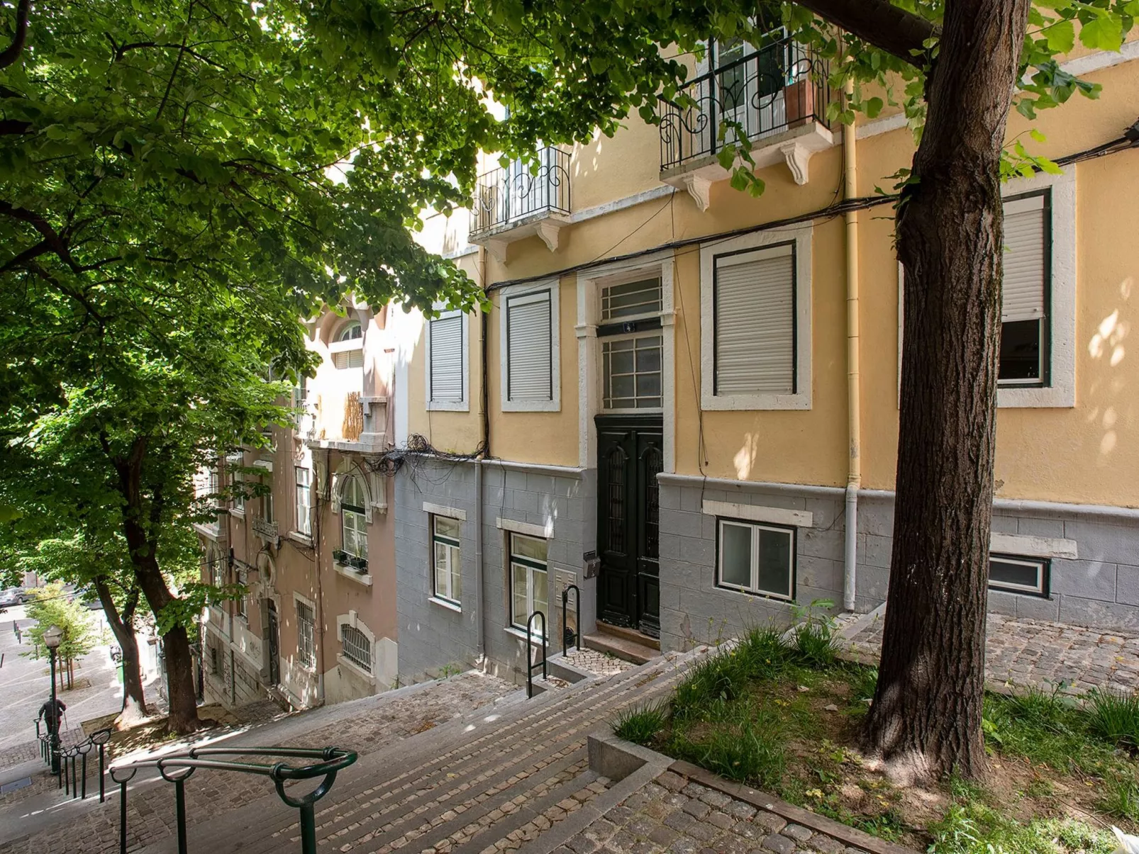 Baum Liverpooler Terrasse-Image-tags.info