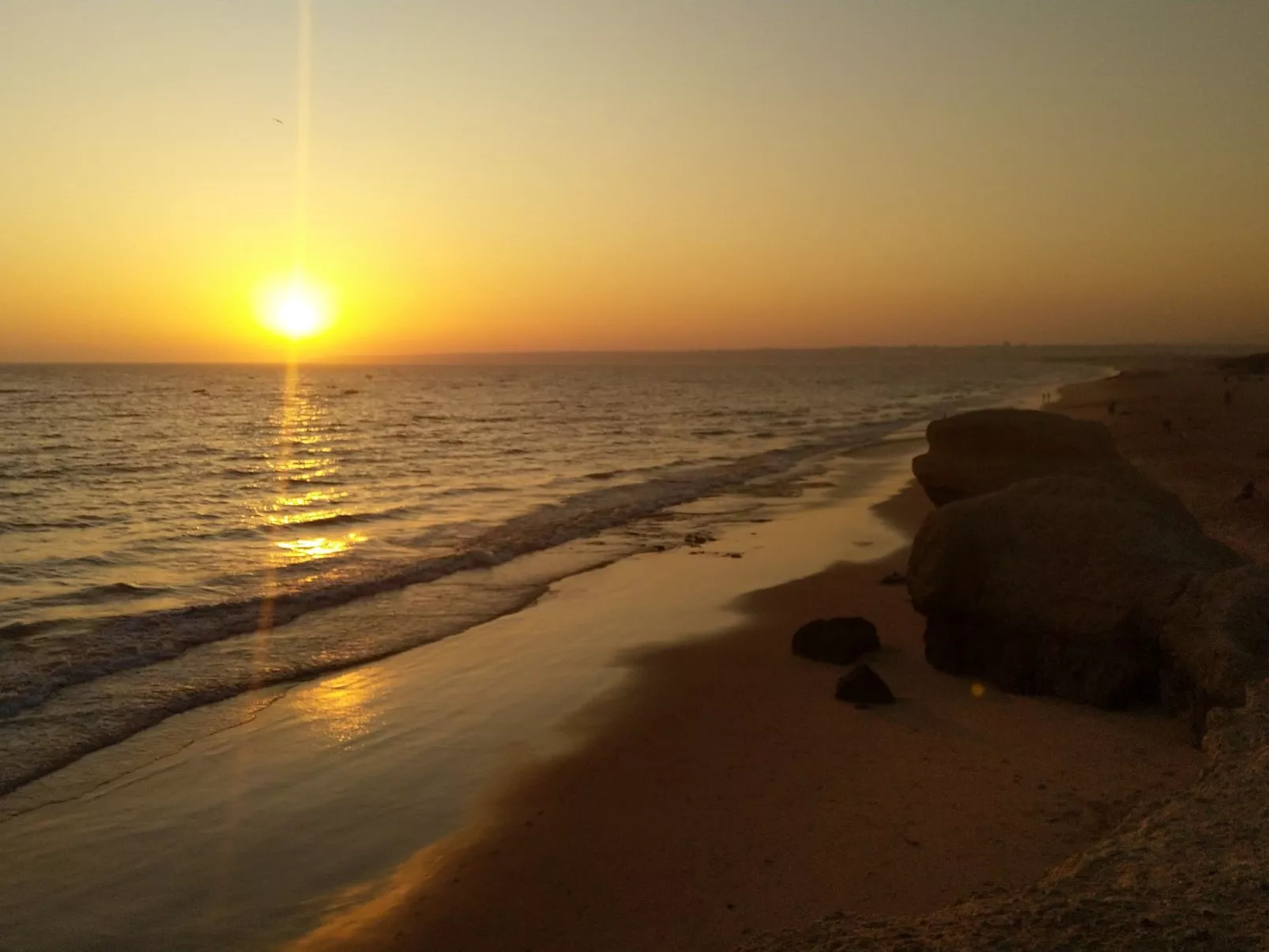 Garten Design brandneue Wohnung mit Pool-Image-tags.info