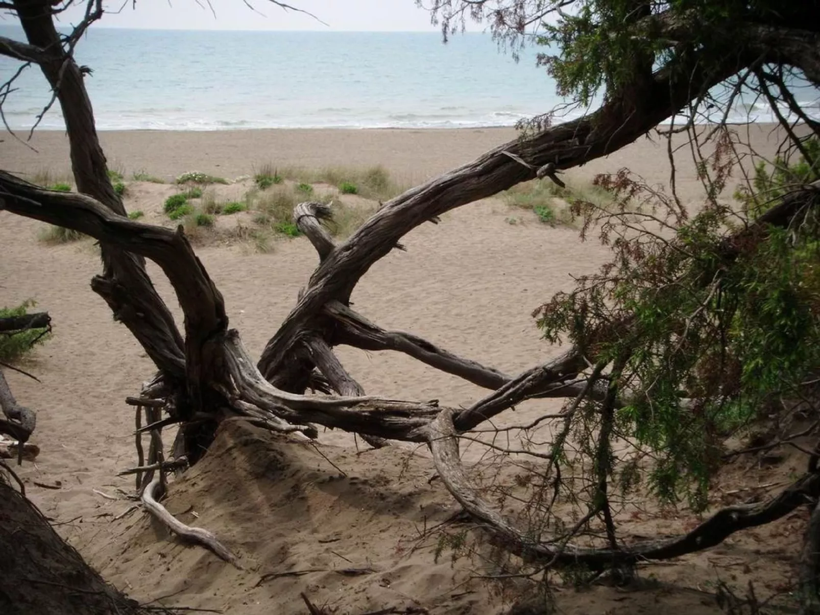Iris' Wohnung mit Terrasse-Dehors