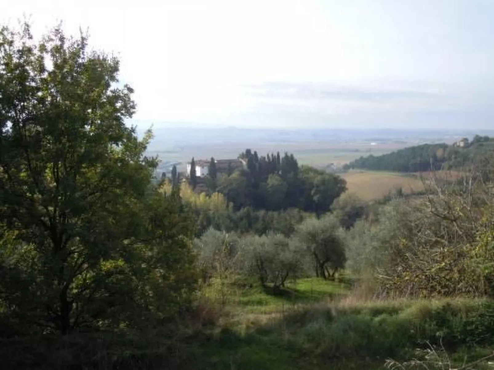 Wohnung in Palaia mit Großem Garten-Dehors