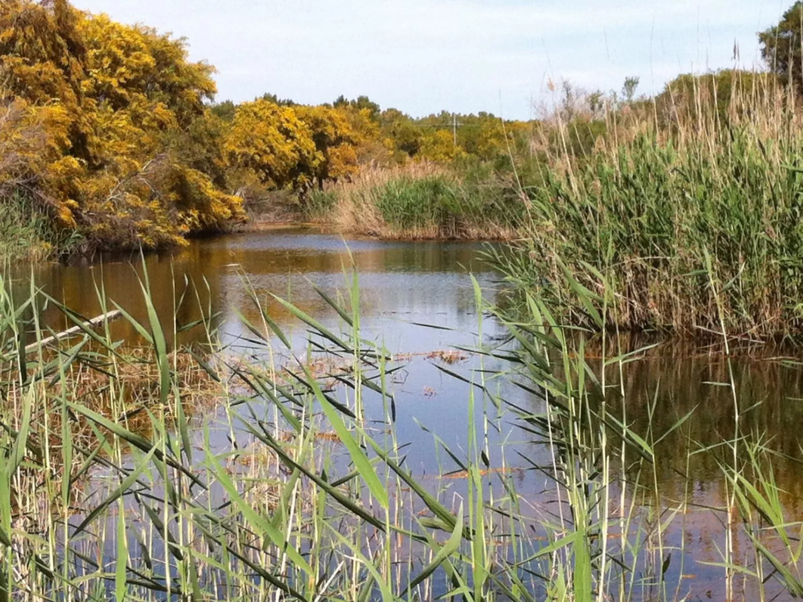 Steinhaus mit Panoramadachterrasse