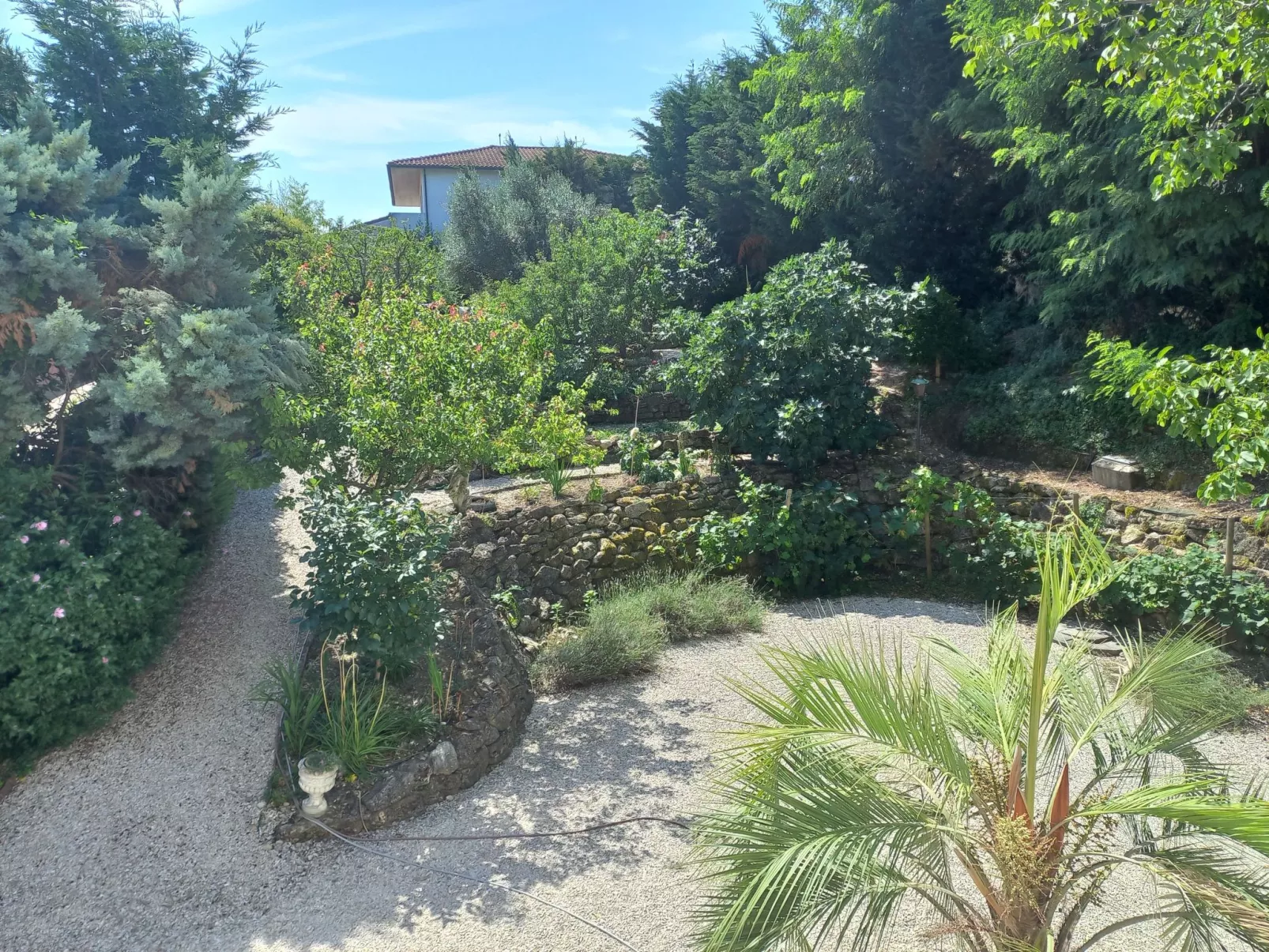 Villa Francesca Appartements-Outside