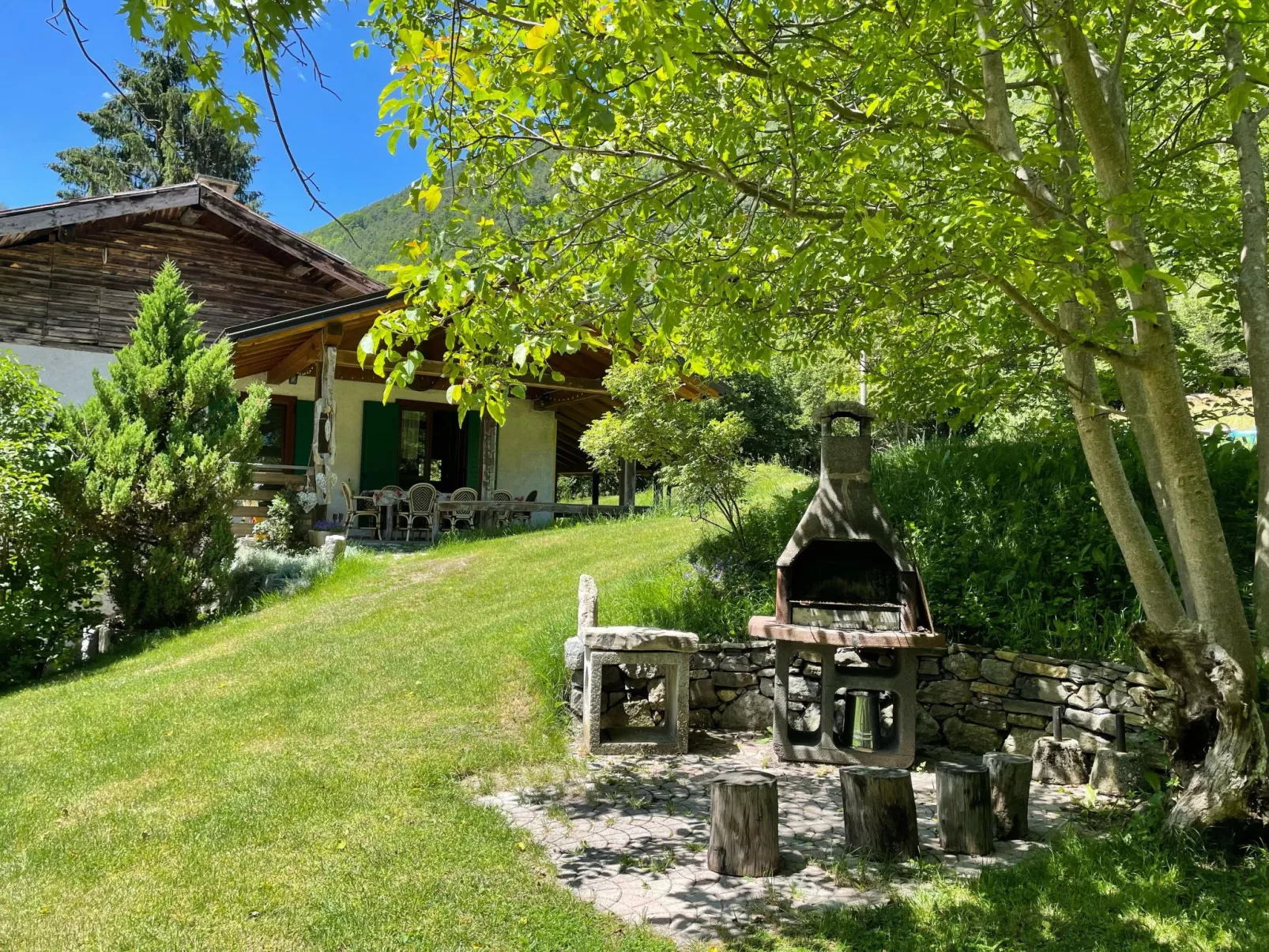 Gesegnet wie Frösche auf einem Seerosenblatt-Draußen